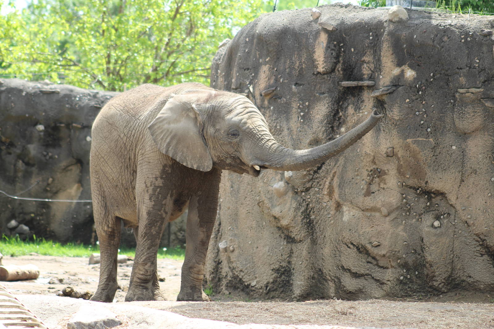 May. 2016 - Plains - Nyah