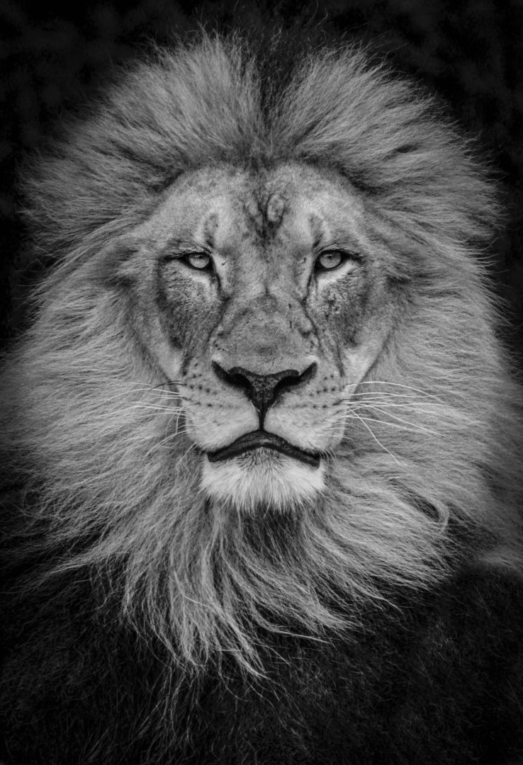 May. 2017 - Africa - John