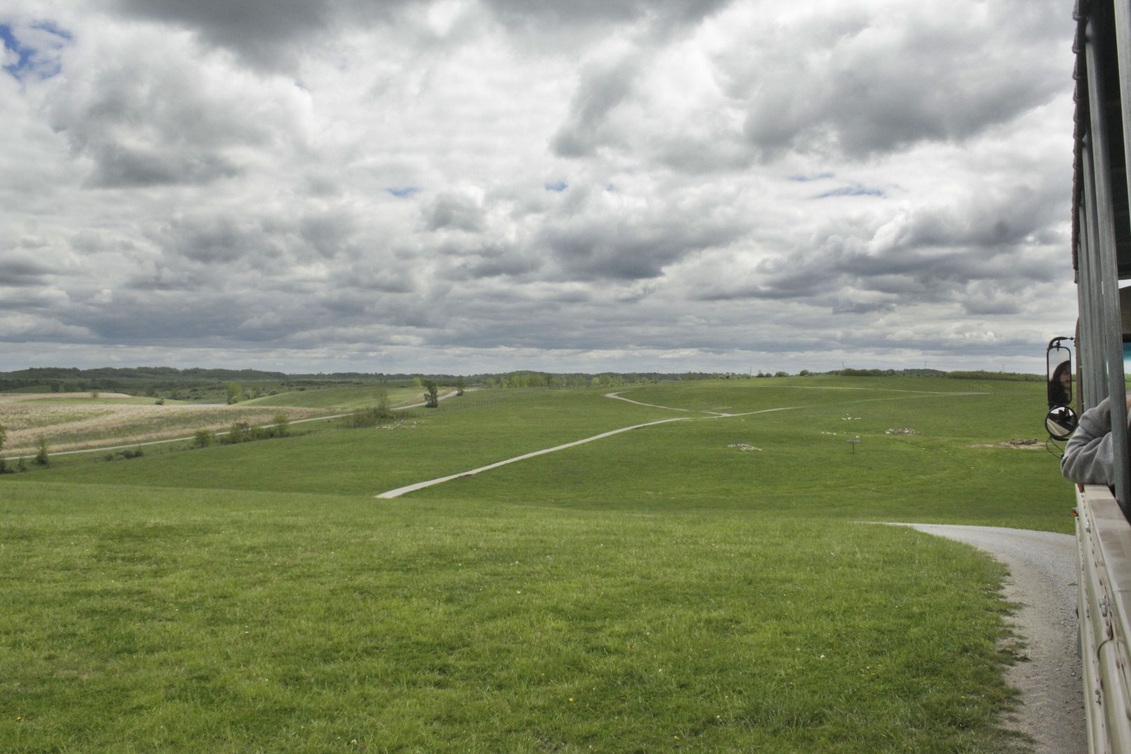 May. 2017 - Bactrian Deer, Scimitar-horned Oryx, Common Eland Exhibit