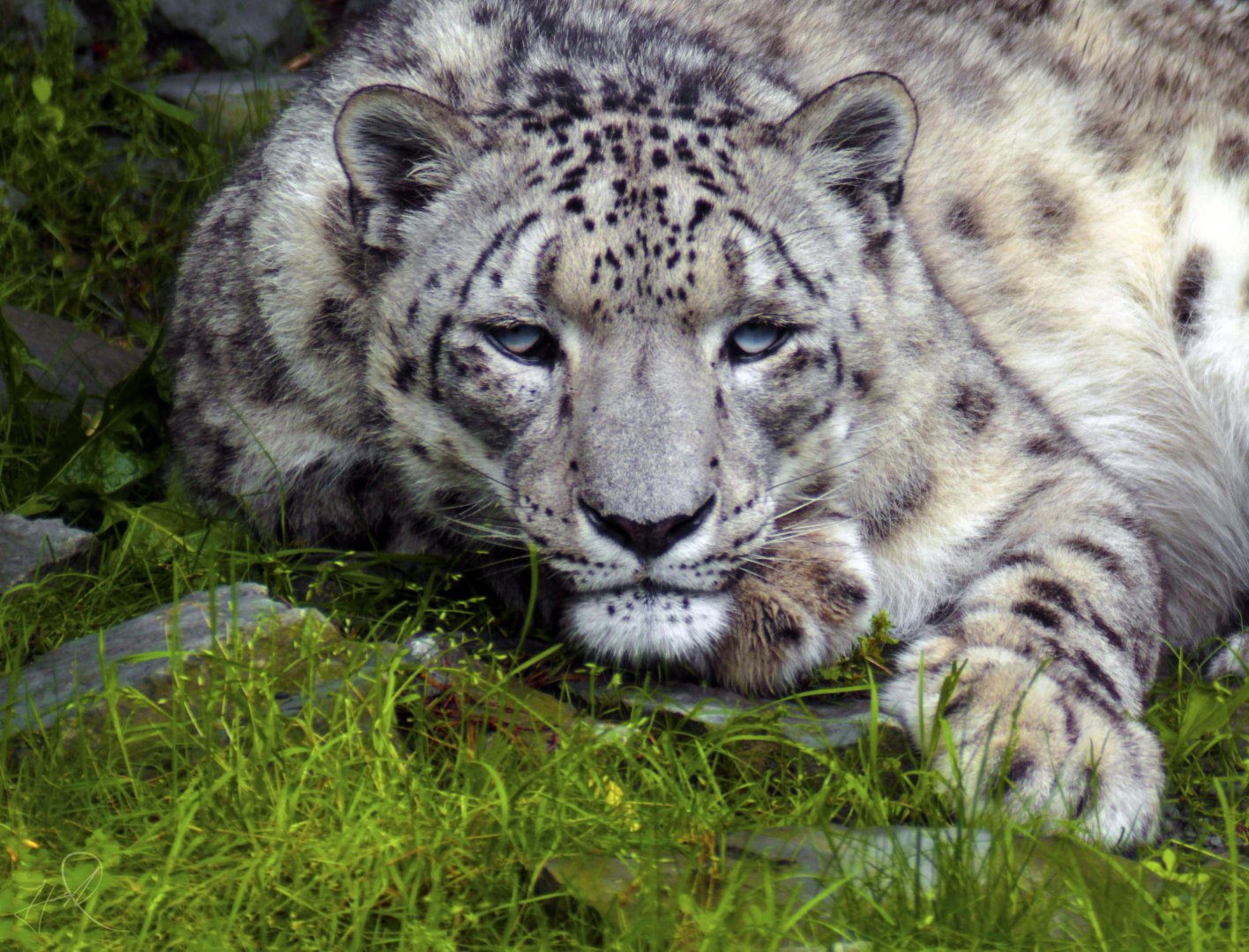 May. 2017 - Cat Canyon - Nubo