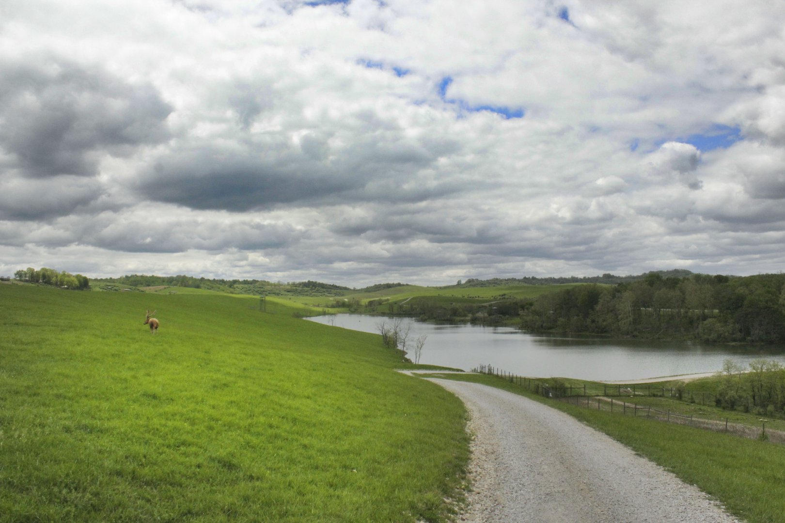 May. 2017 - General View - First Fields