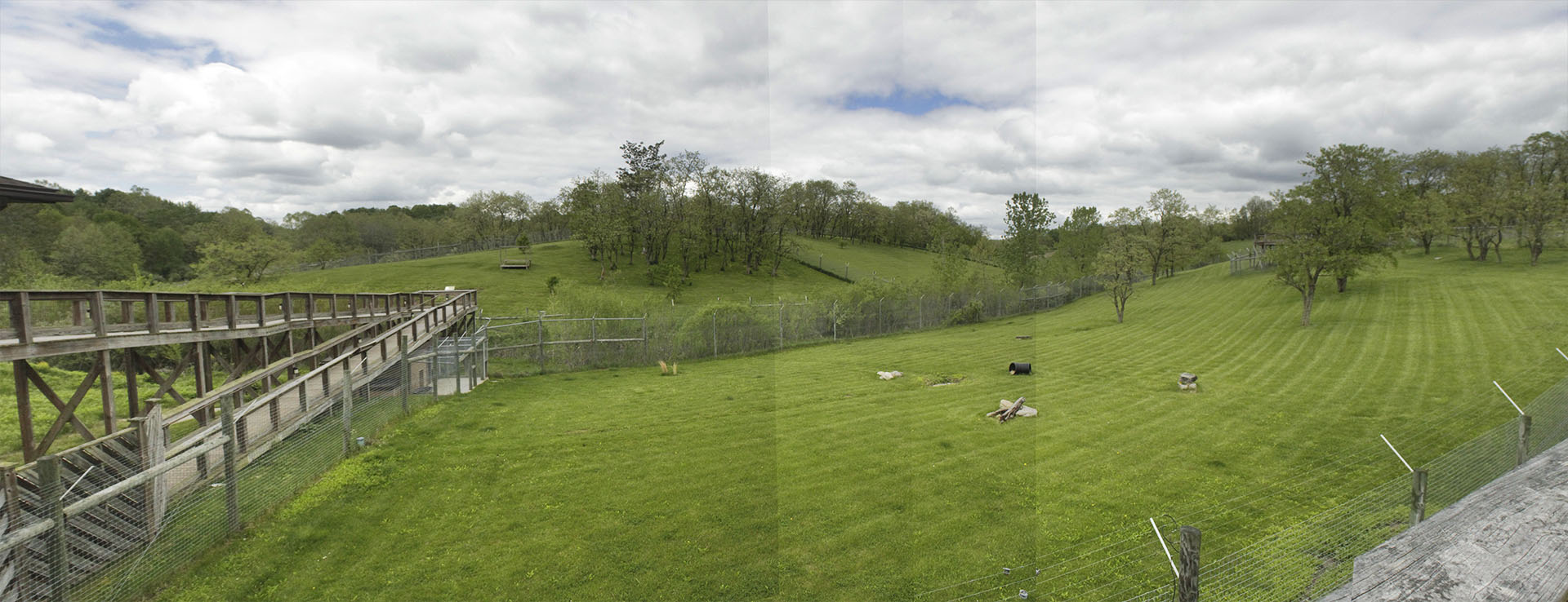 May. 2017 - Mid-sized Carnivore Conservation Center - Cheetah (Back) + Dhole Exhibits