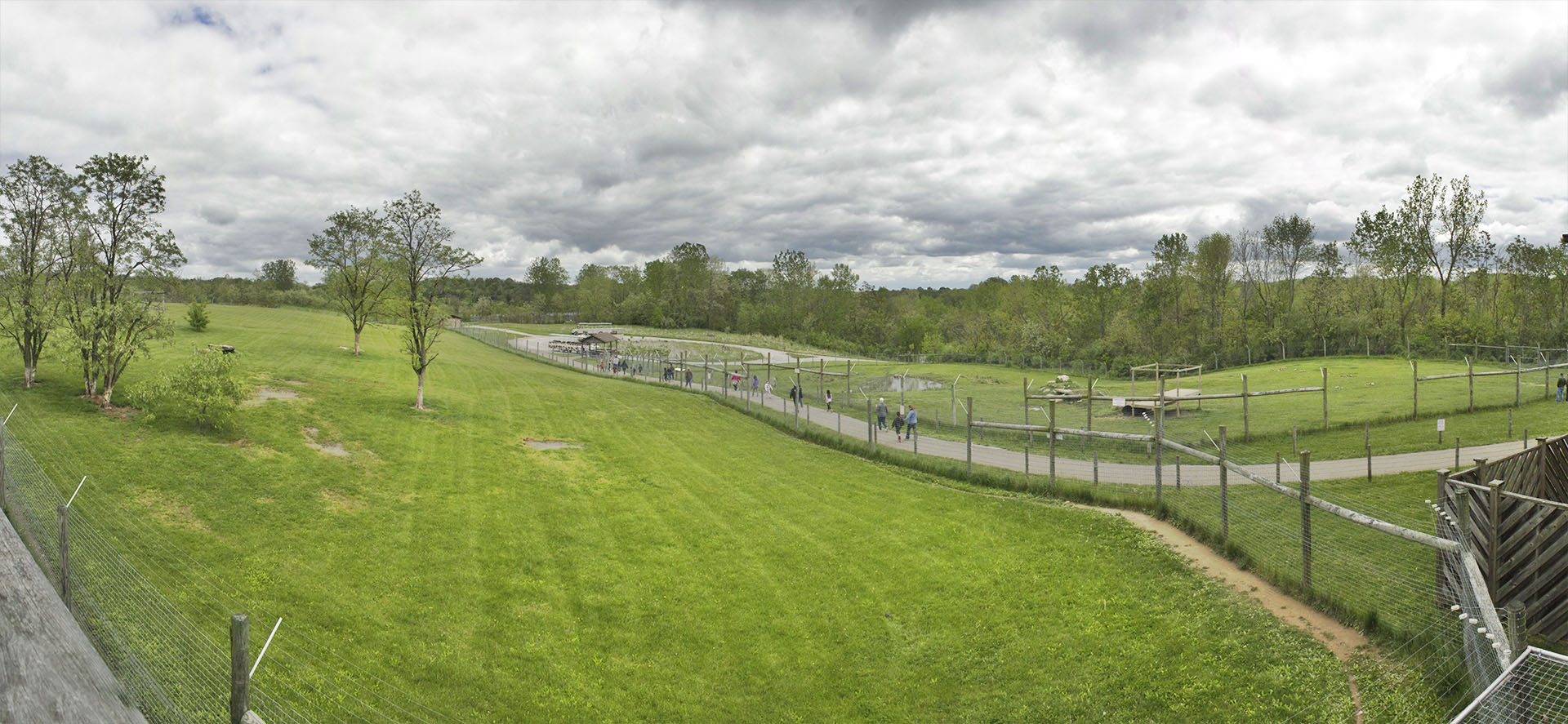 May. 2017 - Mid-sized Carnivore Conservation Center - Cheetah + Painted Dog Exhibit