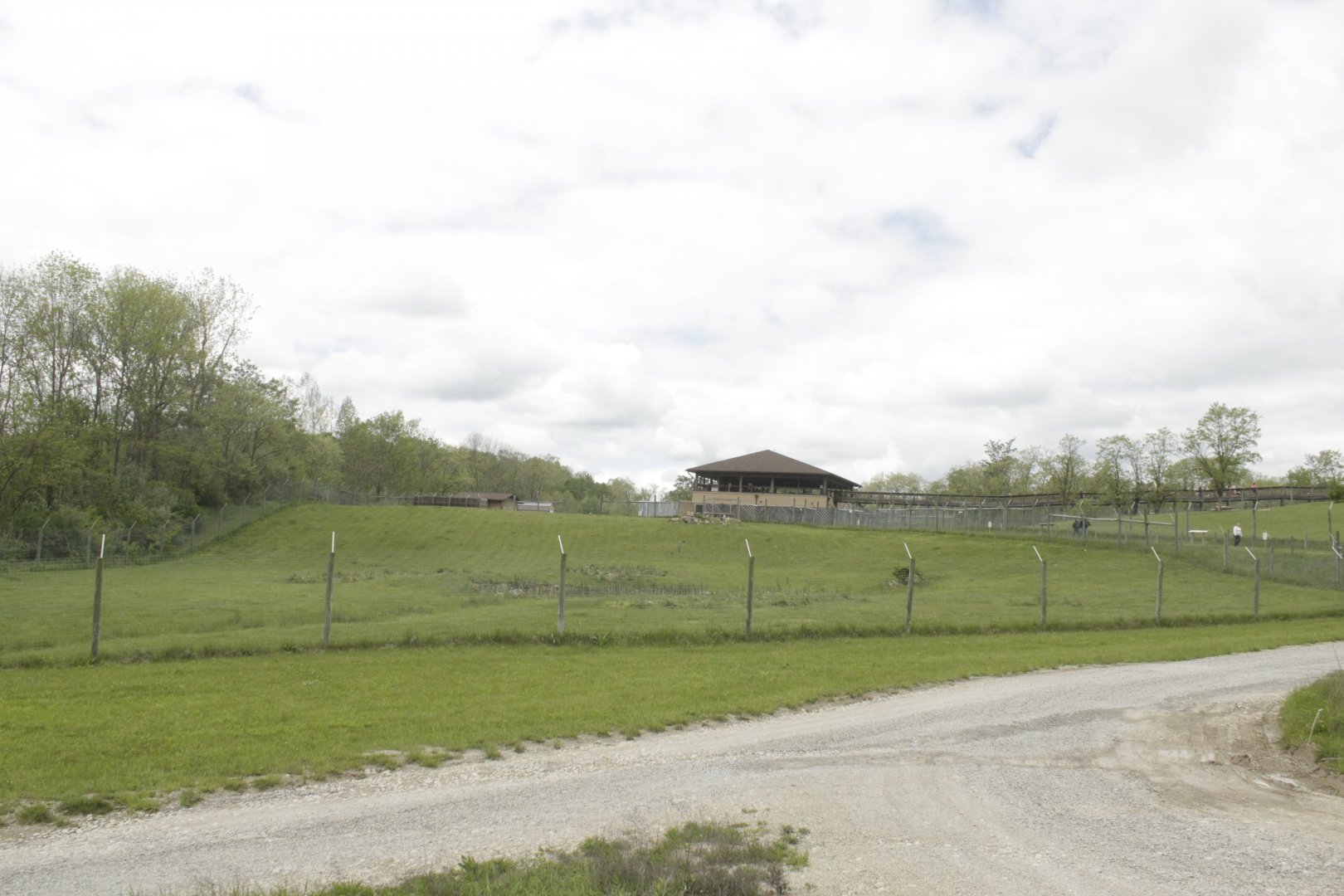May. 2017 - Mid-sized Carnivore Conservation Center - Painted Dog Exhibit