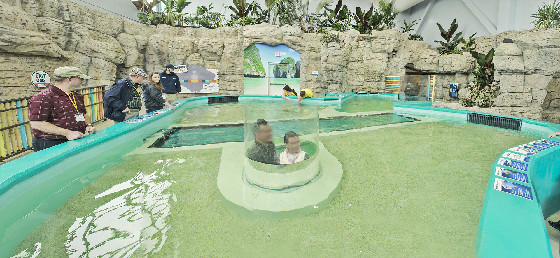 May. 2017 - New! Stingray Hideaway Panorama (8 Species)