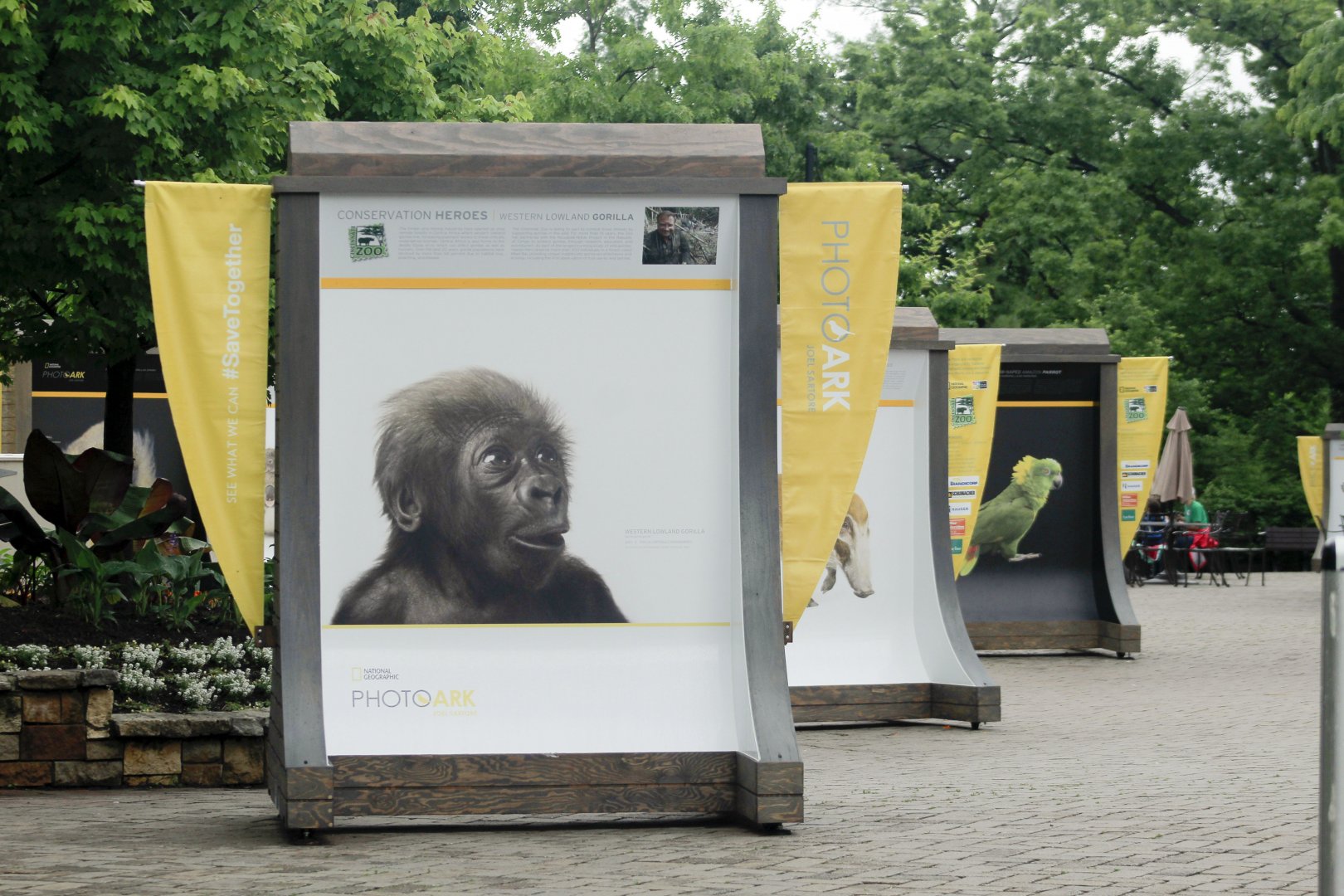 May. 2017 - PhotoArk Displays (Featuring Gladys)