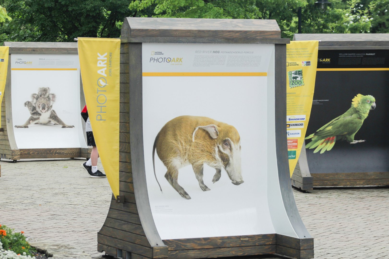 May. 2017 - PhotoArk Displays