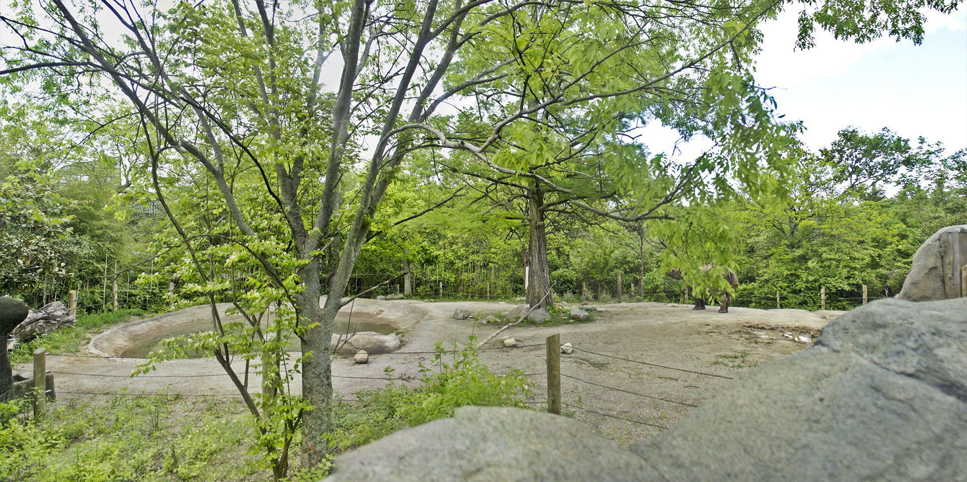 May. 2017 - Rhino Reserve - Indian Rhinoceros Exhibit