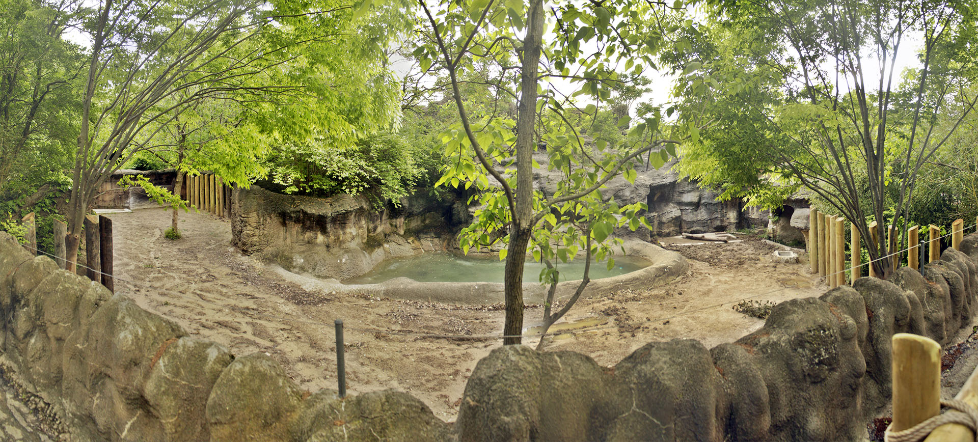 May. 2017 - Rhino Reserve - Male Black Rhinoceros Exhibit