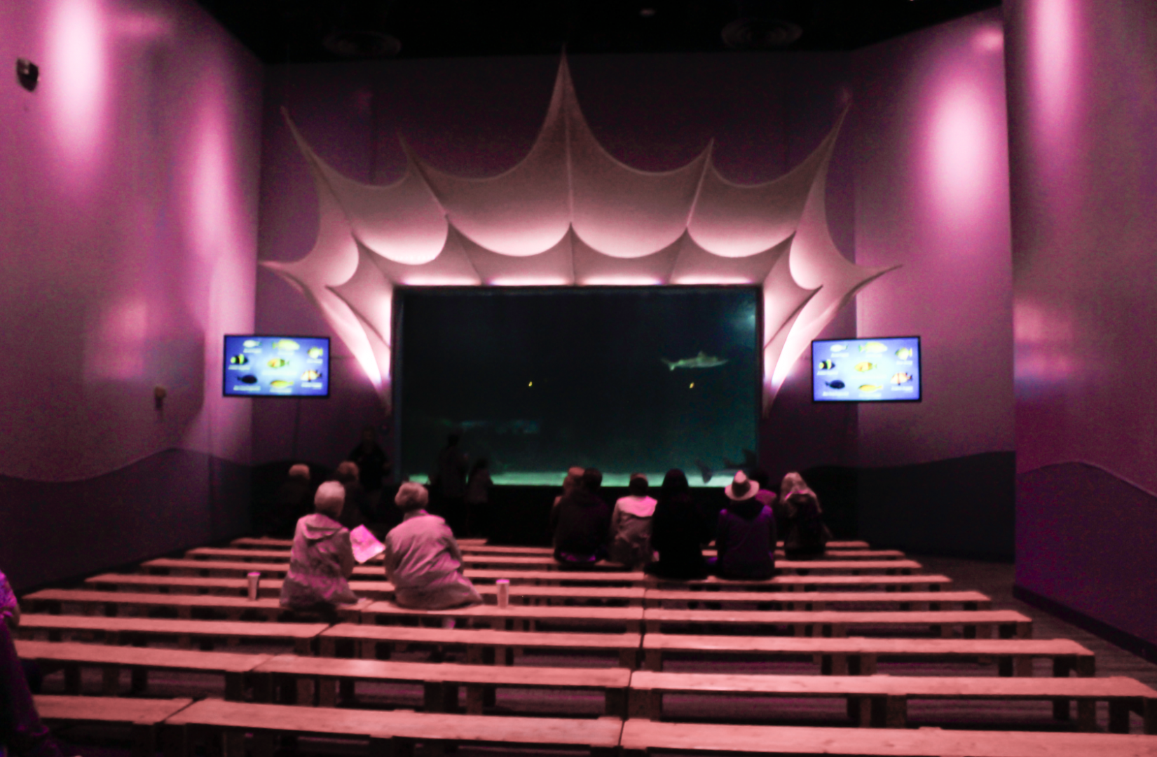 May. 2017 - Shark Ray Bay Theater