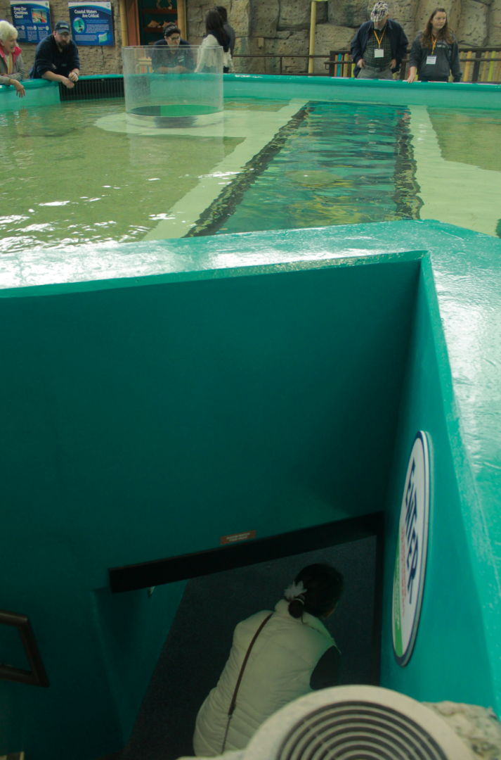 May. 2017 - Stingray Hideaway (New 2017) - Entrance to the Tunnel