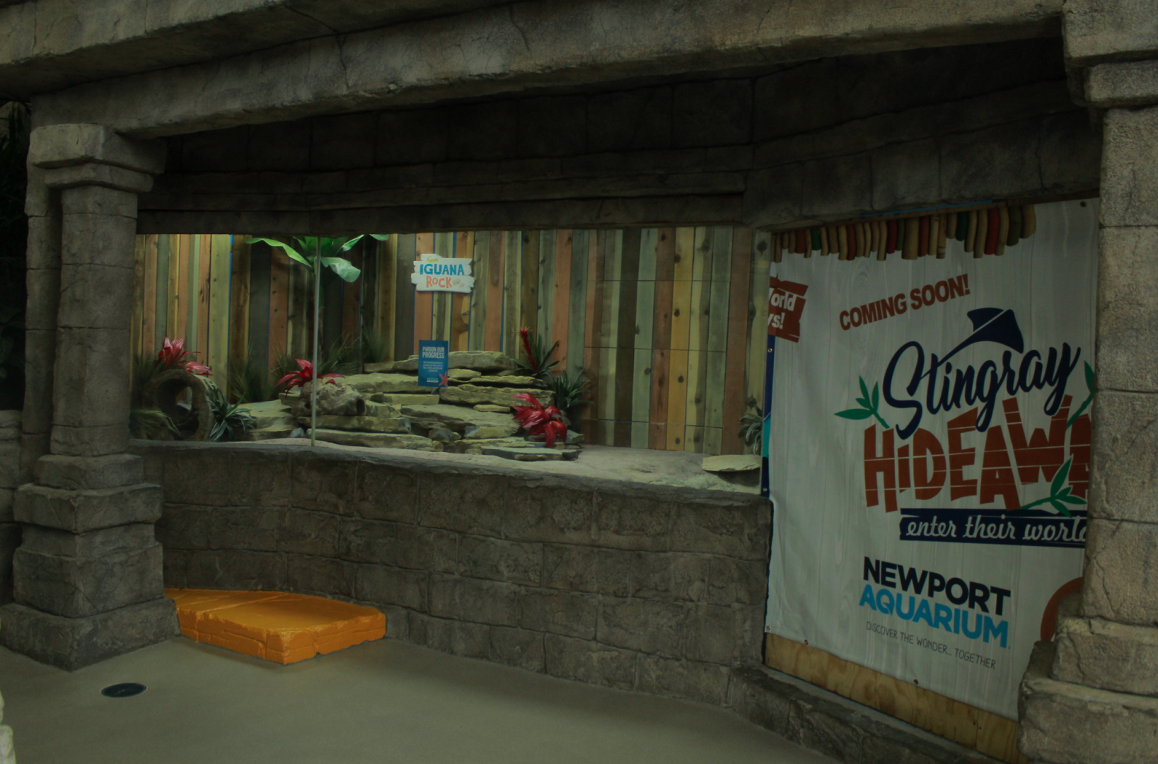 May. 2017 - Stingray Hideaway (New 2017) - Future Iguana Exhibit