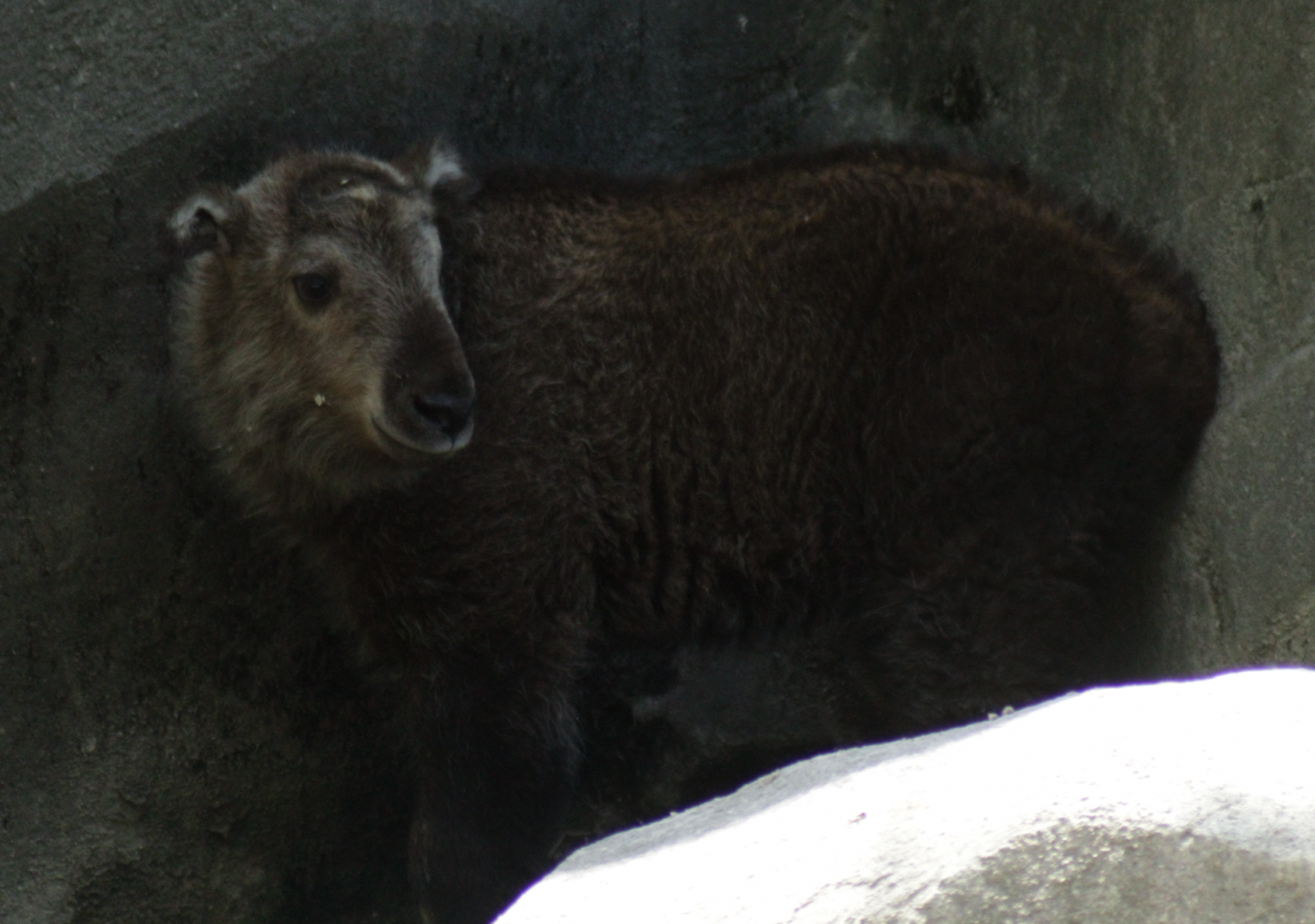 May. 2017 - Wildlife Canyon - Meg