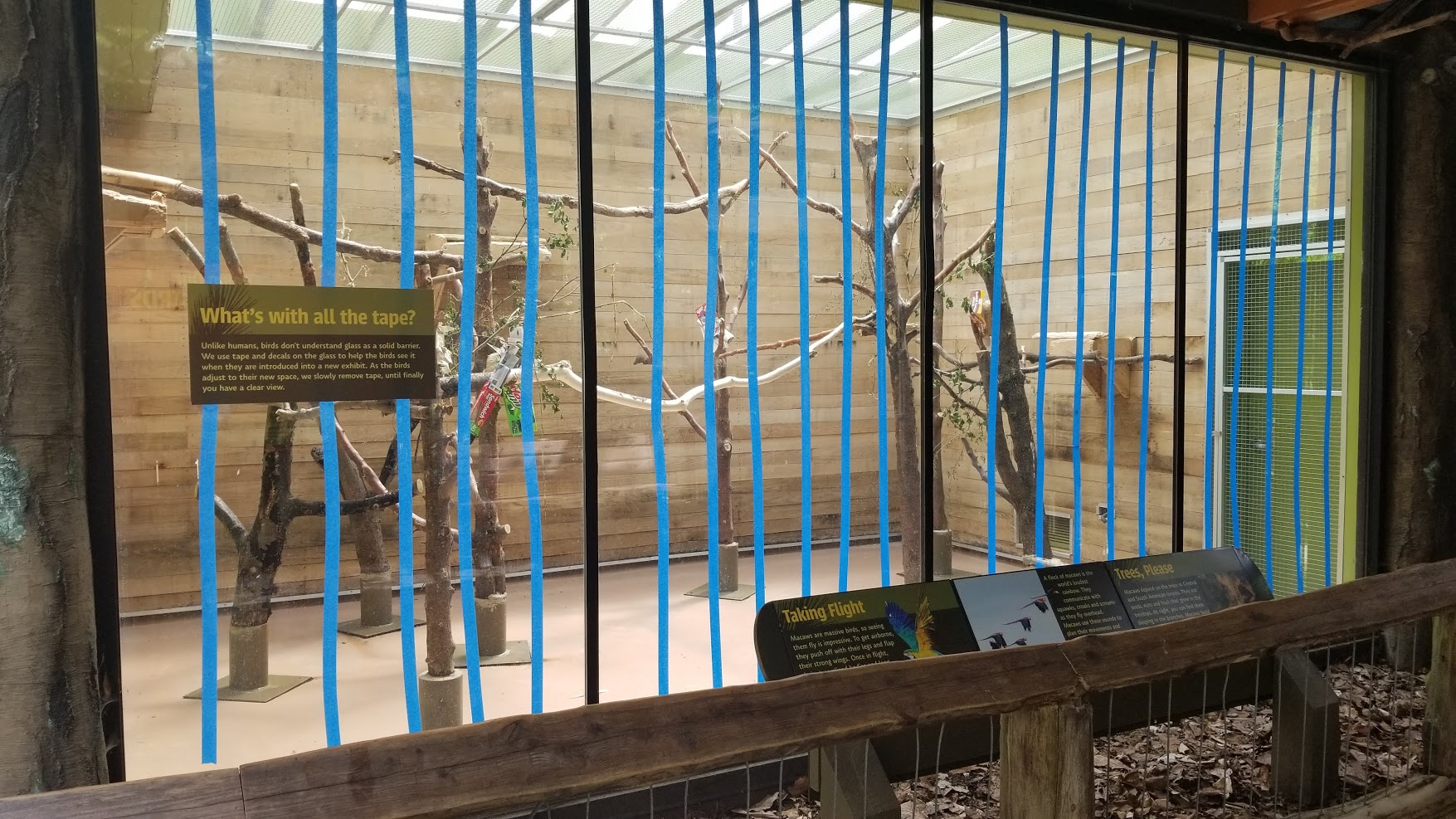 May. 2018 - Forests - Indoor Macaw Exhibit