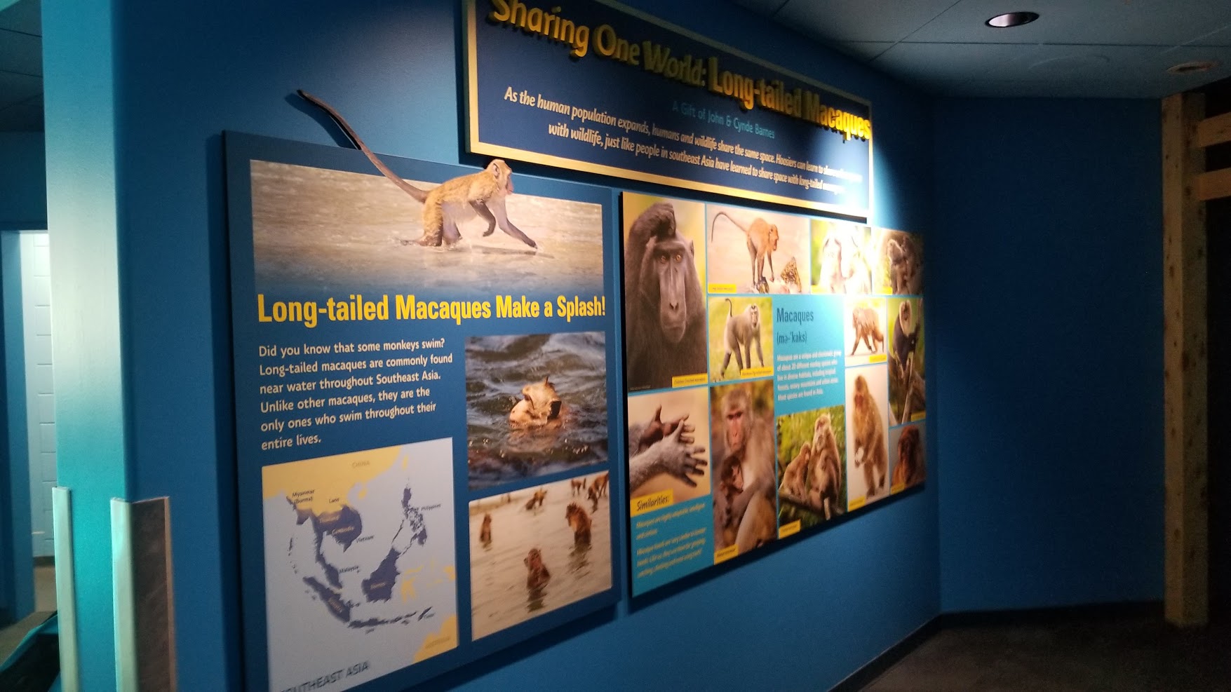 May. 2018 - Oceans - New! Long-tailed Macaque Signage