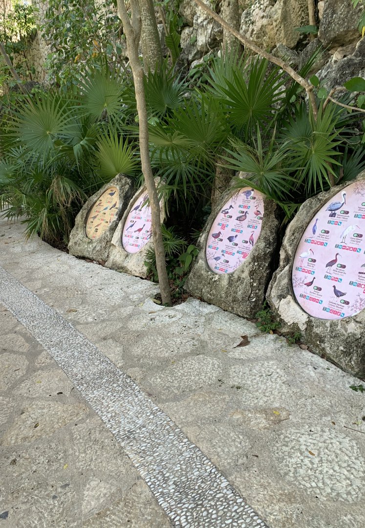 May 2019 - Aviary signage