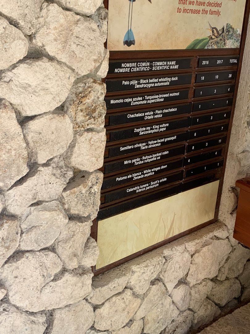 May 2019 - Bird hatching chart