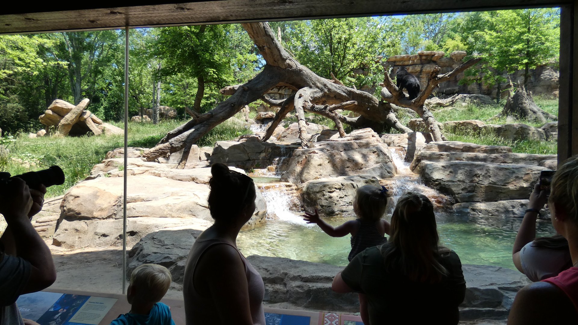 May. 2019 - Expedition Peru - Andean Bear Exhibit