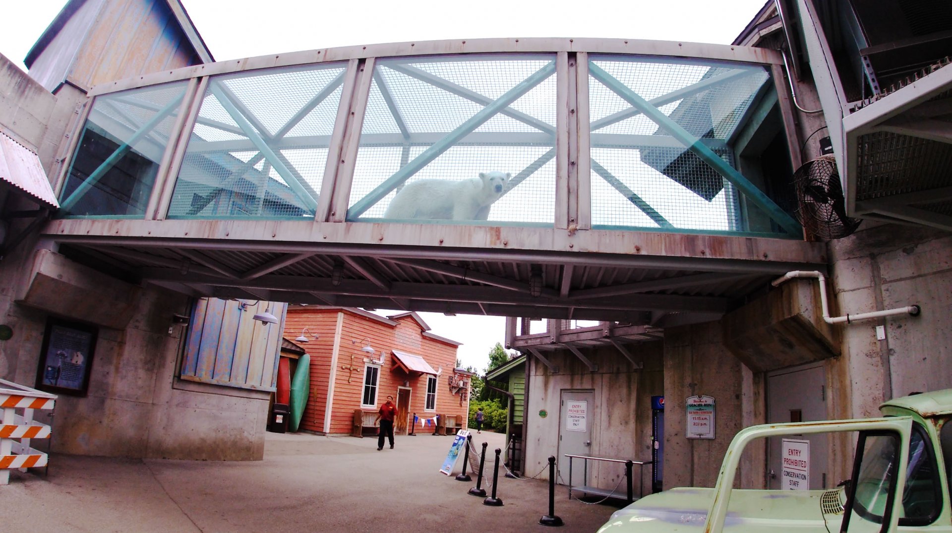 May. 2019 - Glacier Run - The Bear Walk