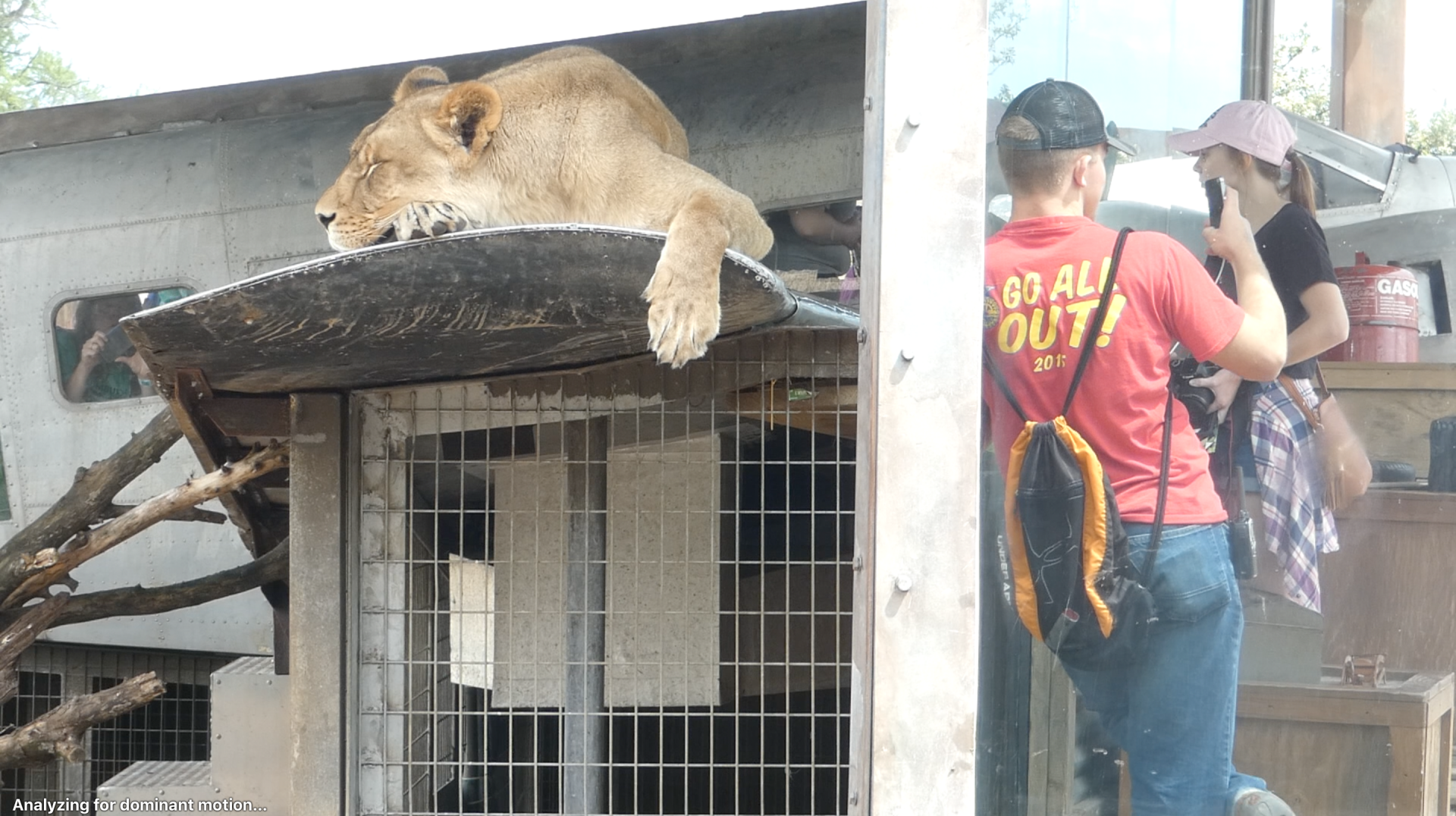 May. 2019 - Heart of Africa - Lioness on a Plane