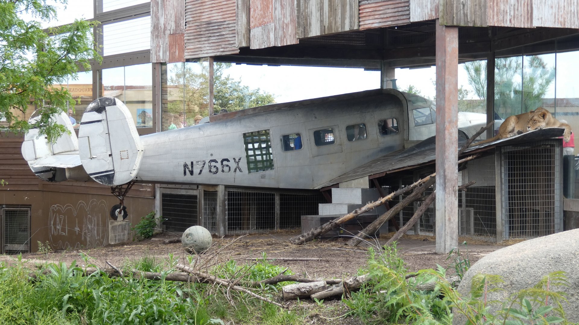 May. 2019 - Heart of Africa - Lioness & the Plane