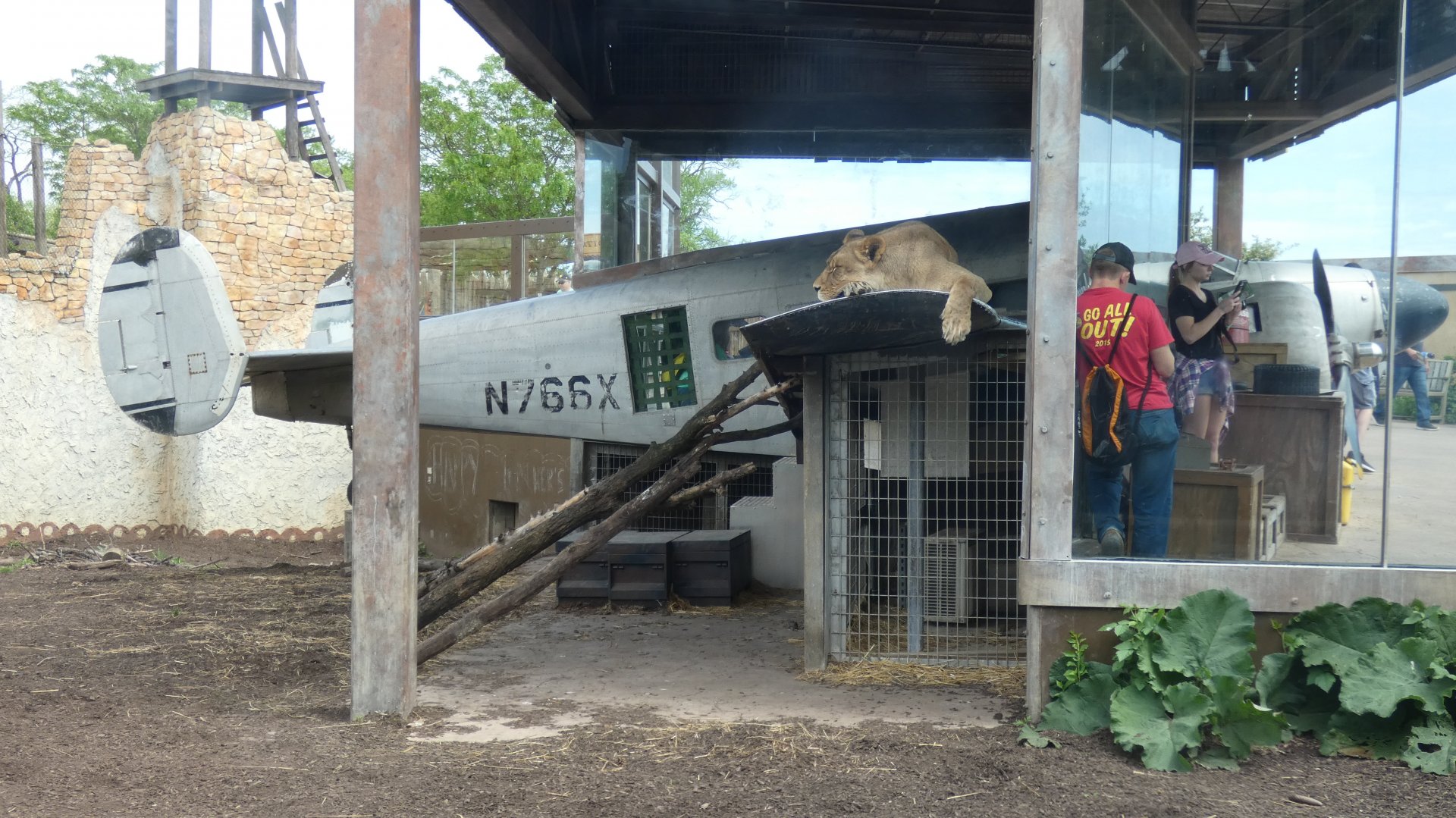 May. 2019 - Heart of Africa - Lioness & the Plane