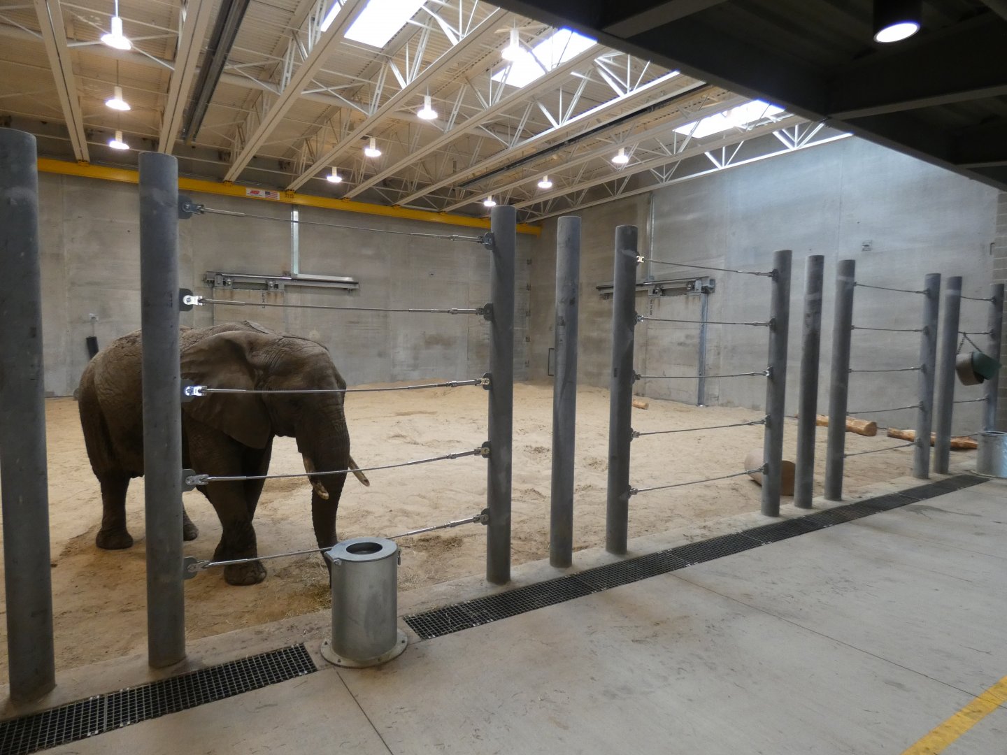 May. 2019 - New! Adventure Africa - Indoor Elephant Exhibit (20,000 sq ft)