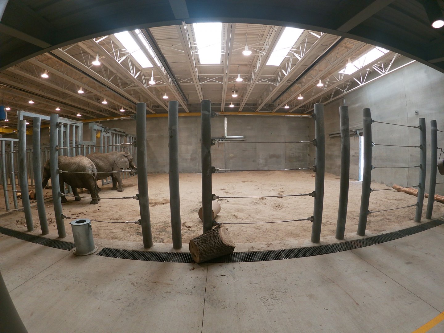 May. 2019 - New! Adventure Africa - Indoor Elephant Exhibit