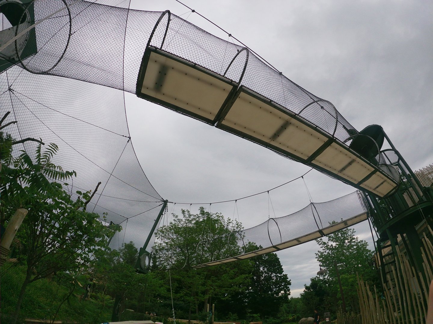 May. 2019 - New! - Colobus Crossing