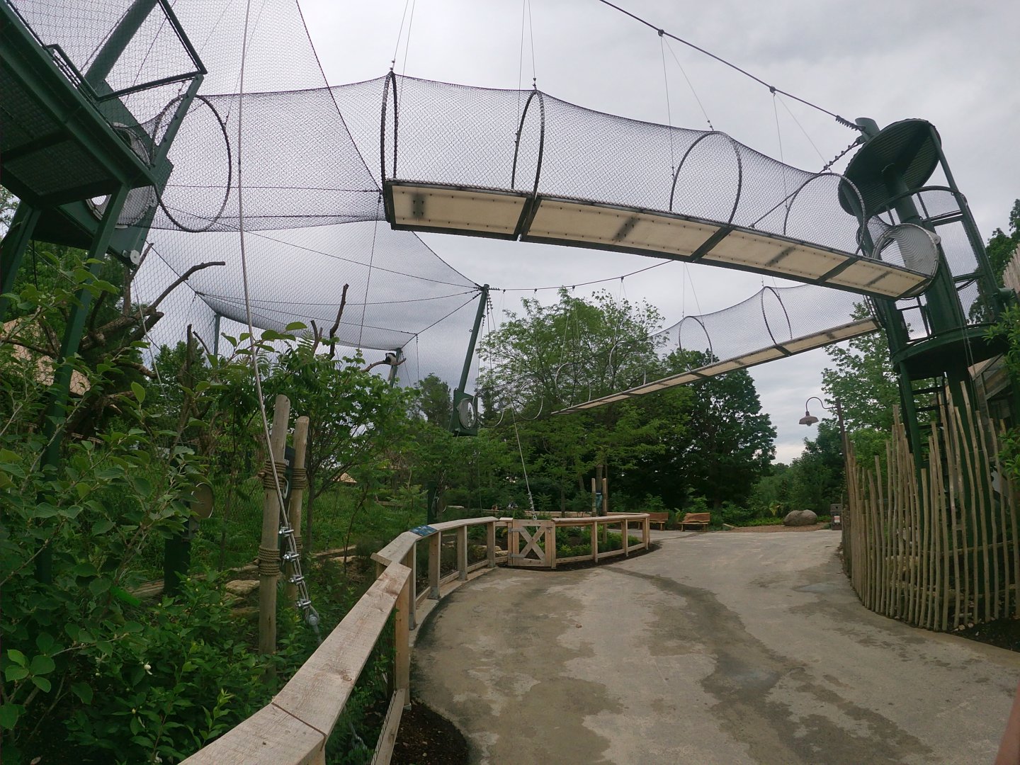 May. 2019 - New! - Colobus Crossing