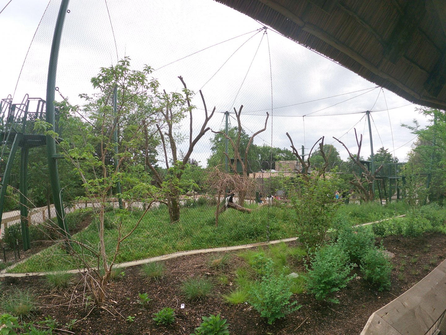 May. 2019 - New! - Colobus Crossing