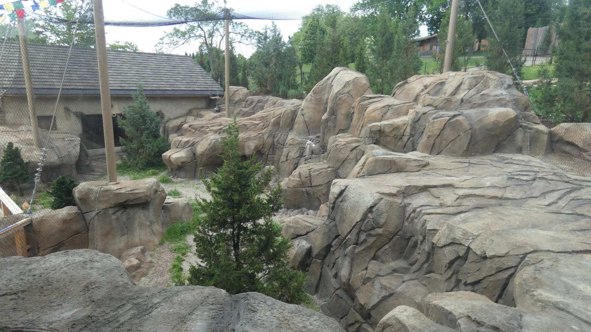 May. 2019 - New! Snow Leopard Pass - Main Exhibit