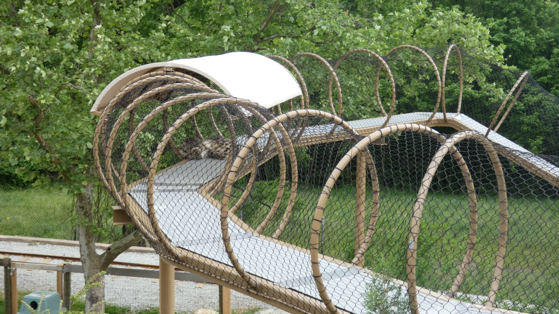 May. 2019 - New! Snow Leopard Pass - Overhead Walk
