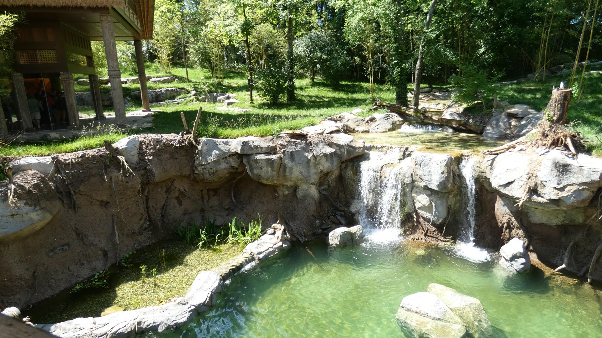 May. 2019 - New! Tiger Crossroads - Sumatran Tiger Exhibit