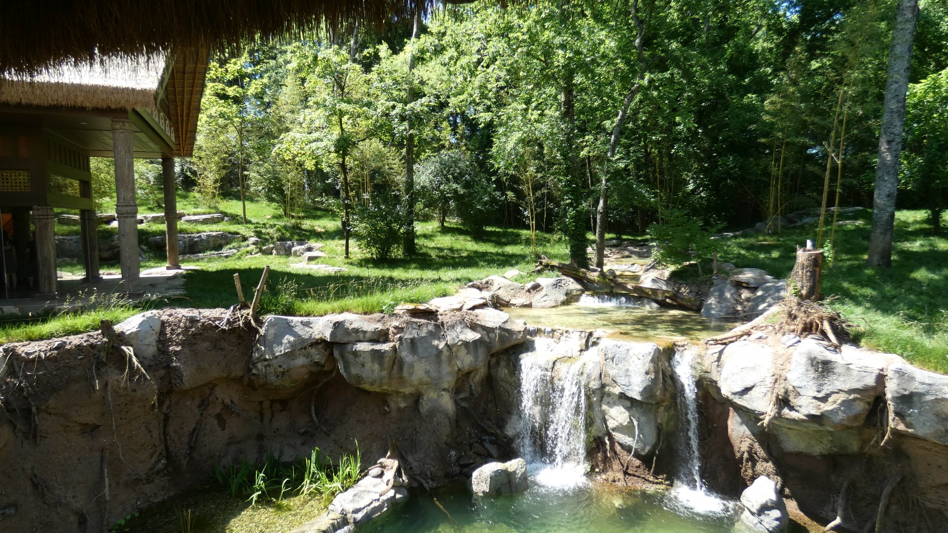 May. 2019 - New! Tiger Crossroads - Sumatran Tiger Exhibit