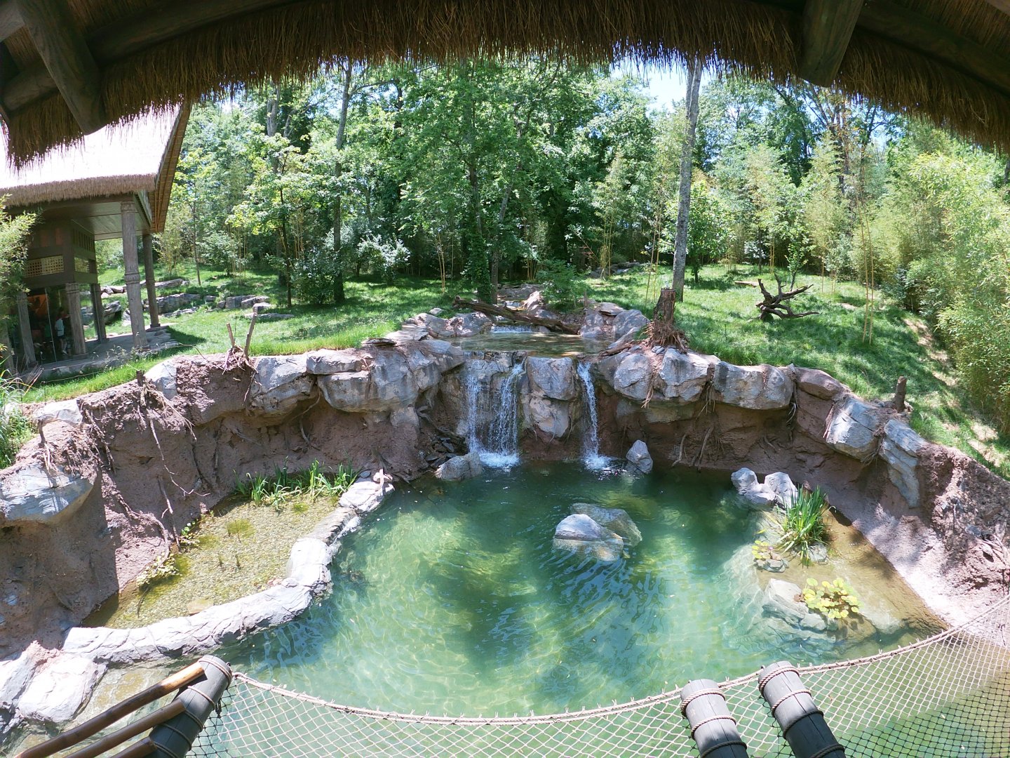 May. 2019 - New! - Tiger Crossroads - Sumatran Tiger Exhibit