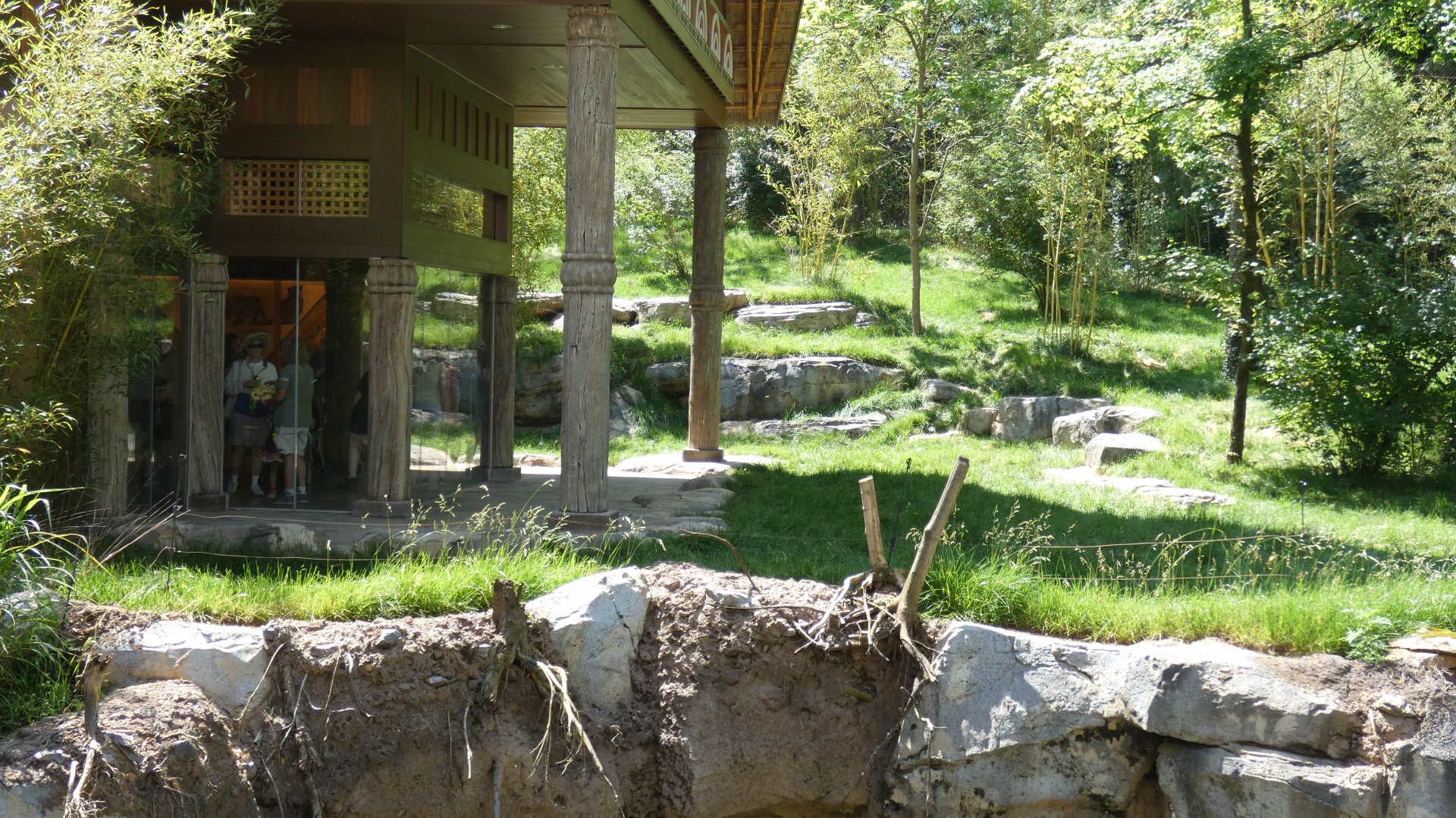 May. 2019 - New! - Tiger Crossroads - Sumatran Tiger Exhibit