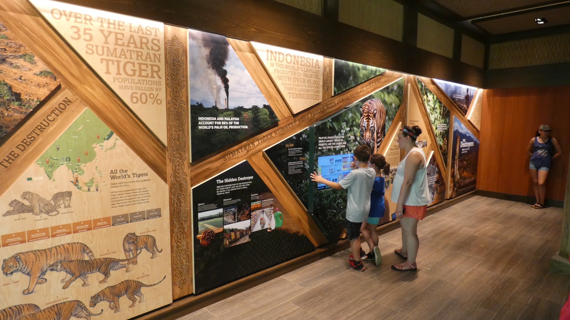 May. 2019 - New! - Tiger Crossroads