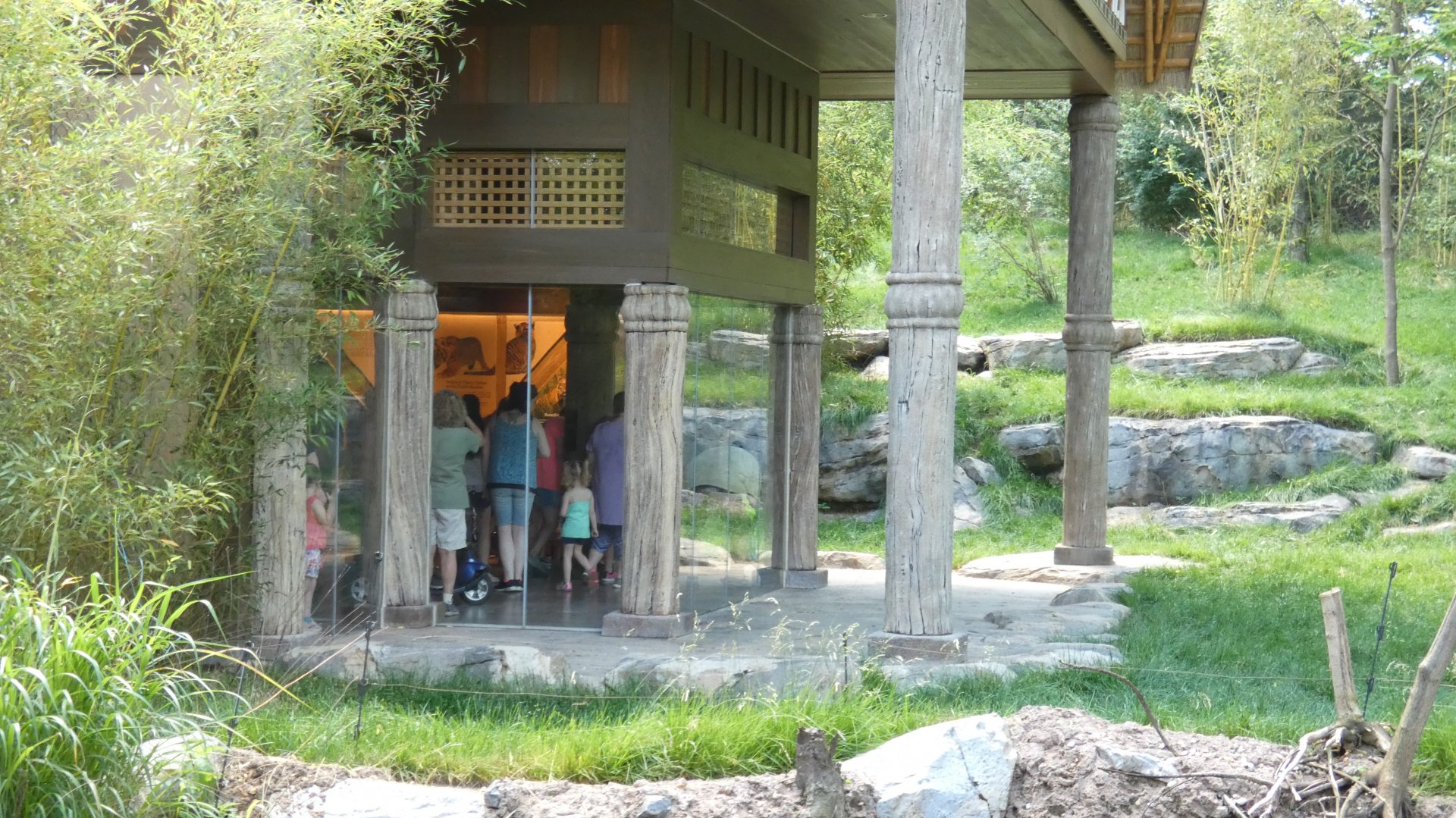 May. 2019 - New! - Tiger Crossroads