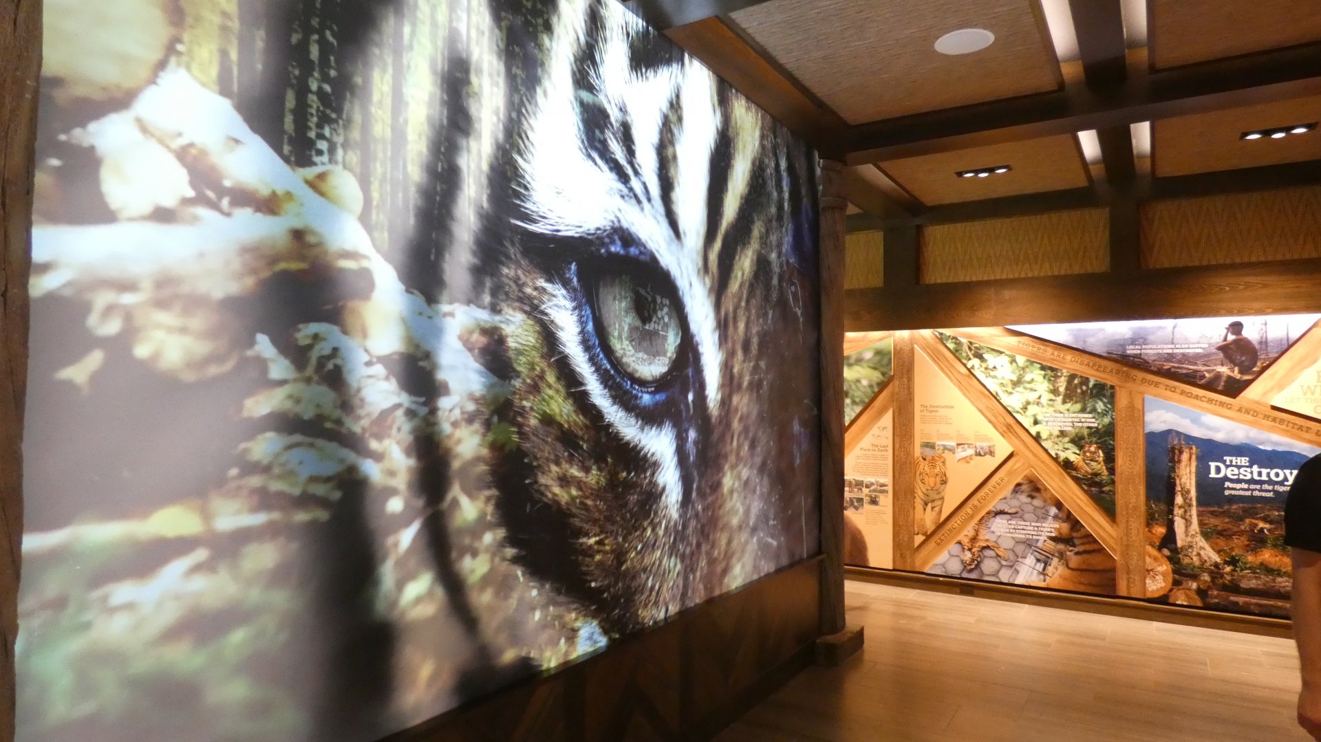 May. 2019 - New! - Tiger Crossroads