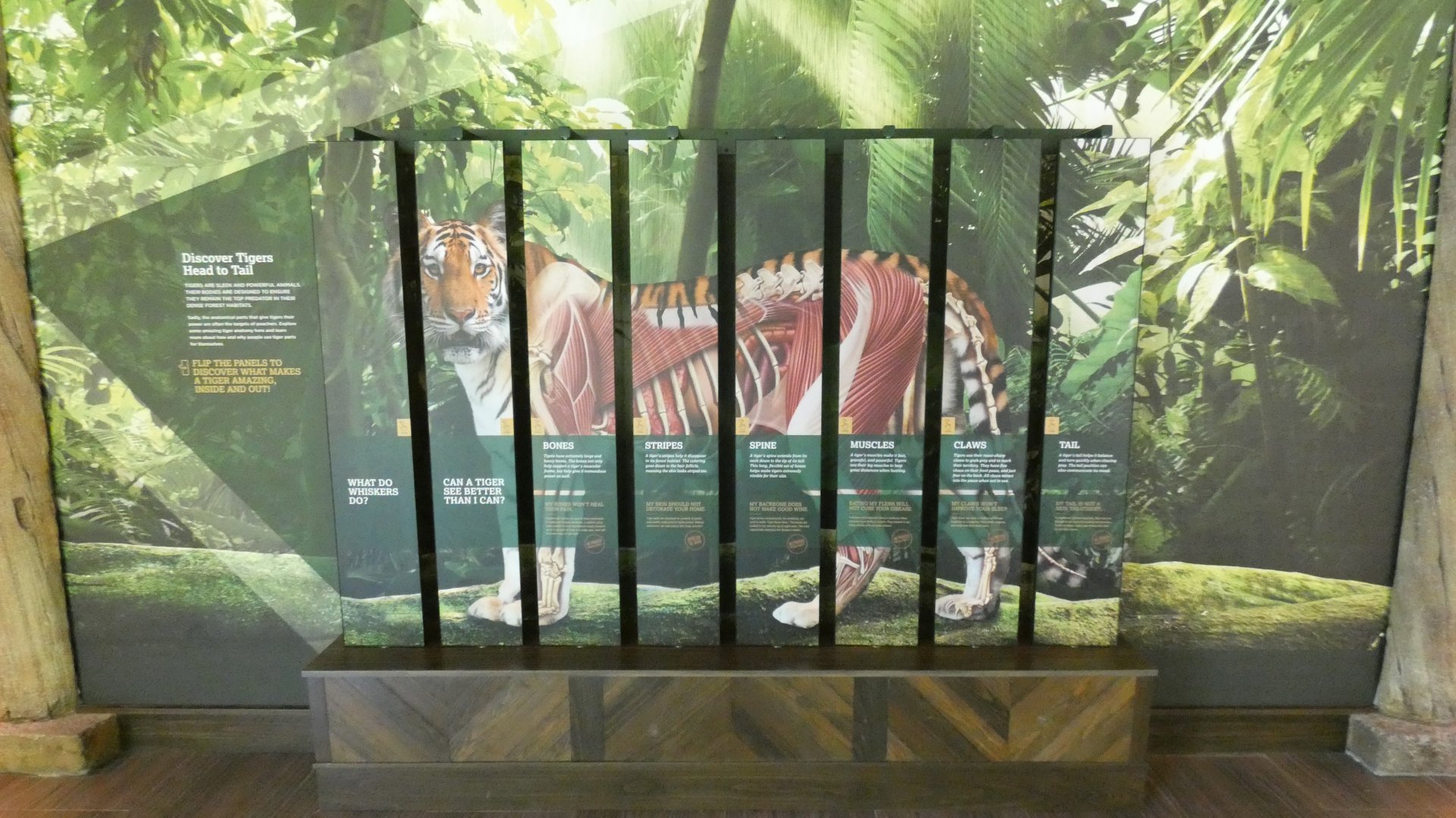 May. 2019 - New! - Tiger Crossroads