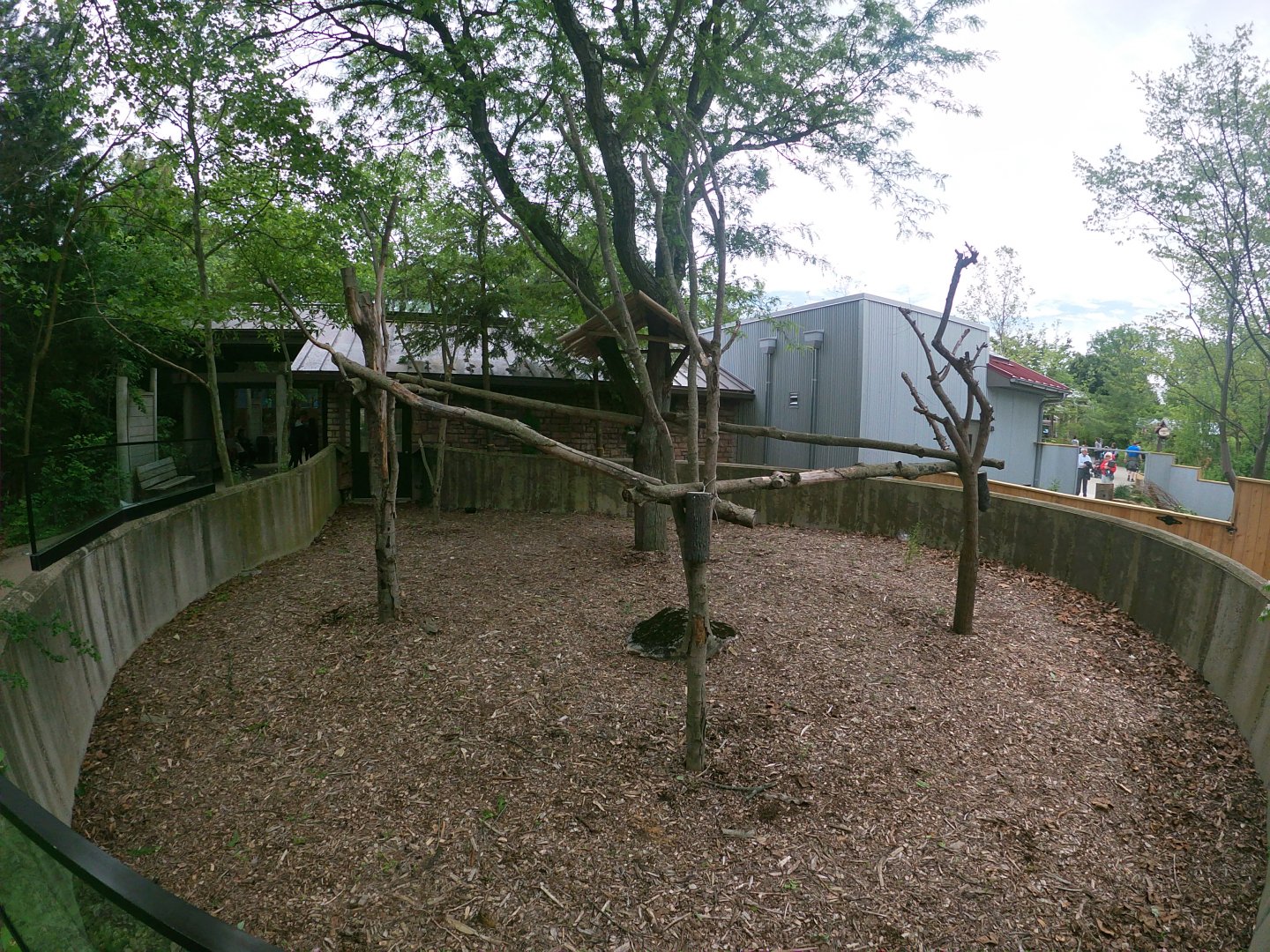 May. 2019 - Voyage to Australia & the Islands - Outdoor Koala Exhibit