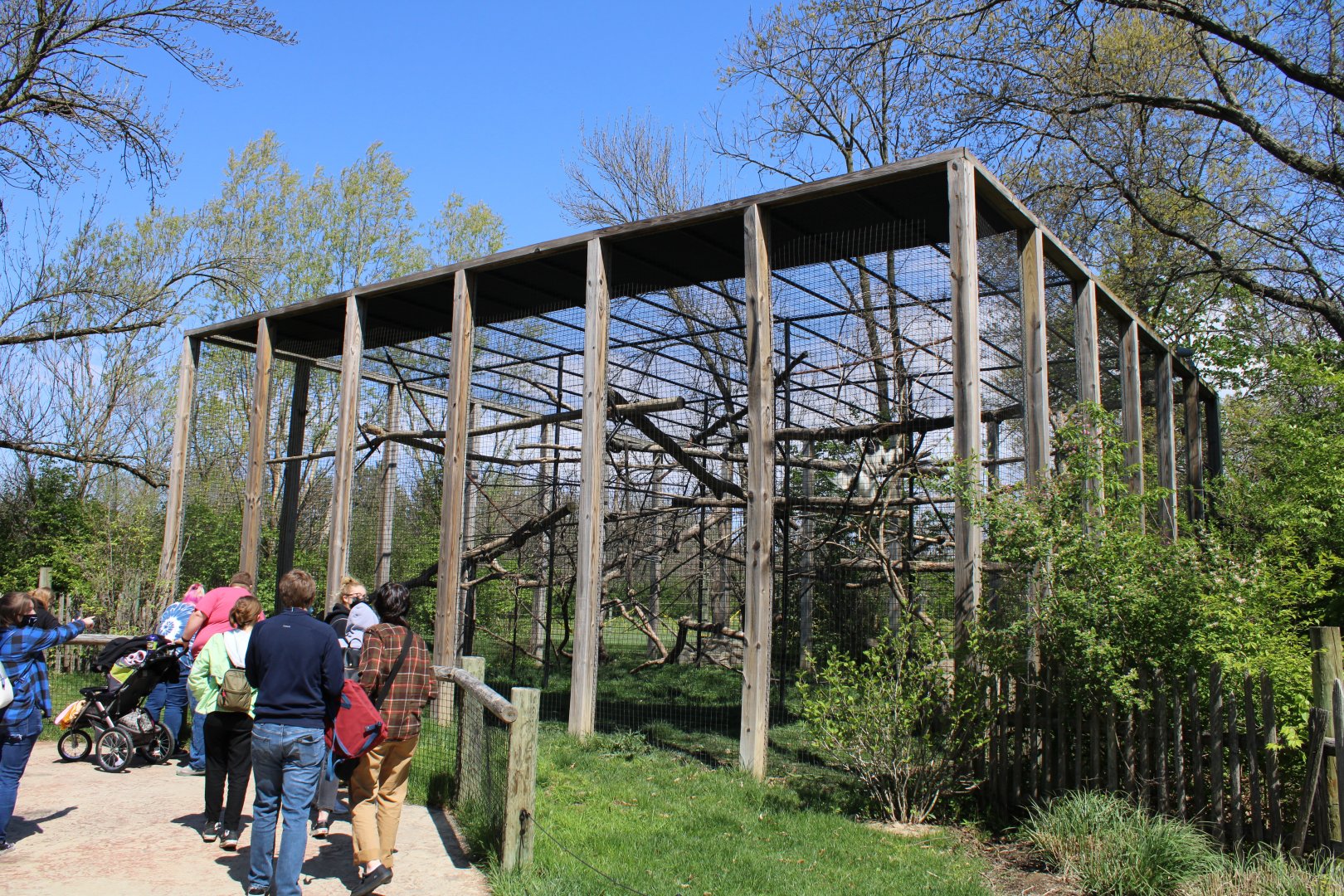 May. 2021 - African Journey - Black-and-White Colobus/Allen's Swamp Monkey Exhibit