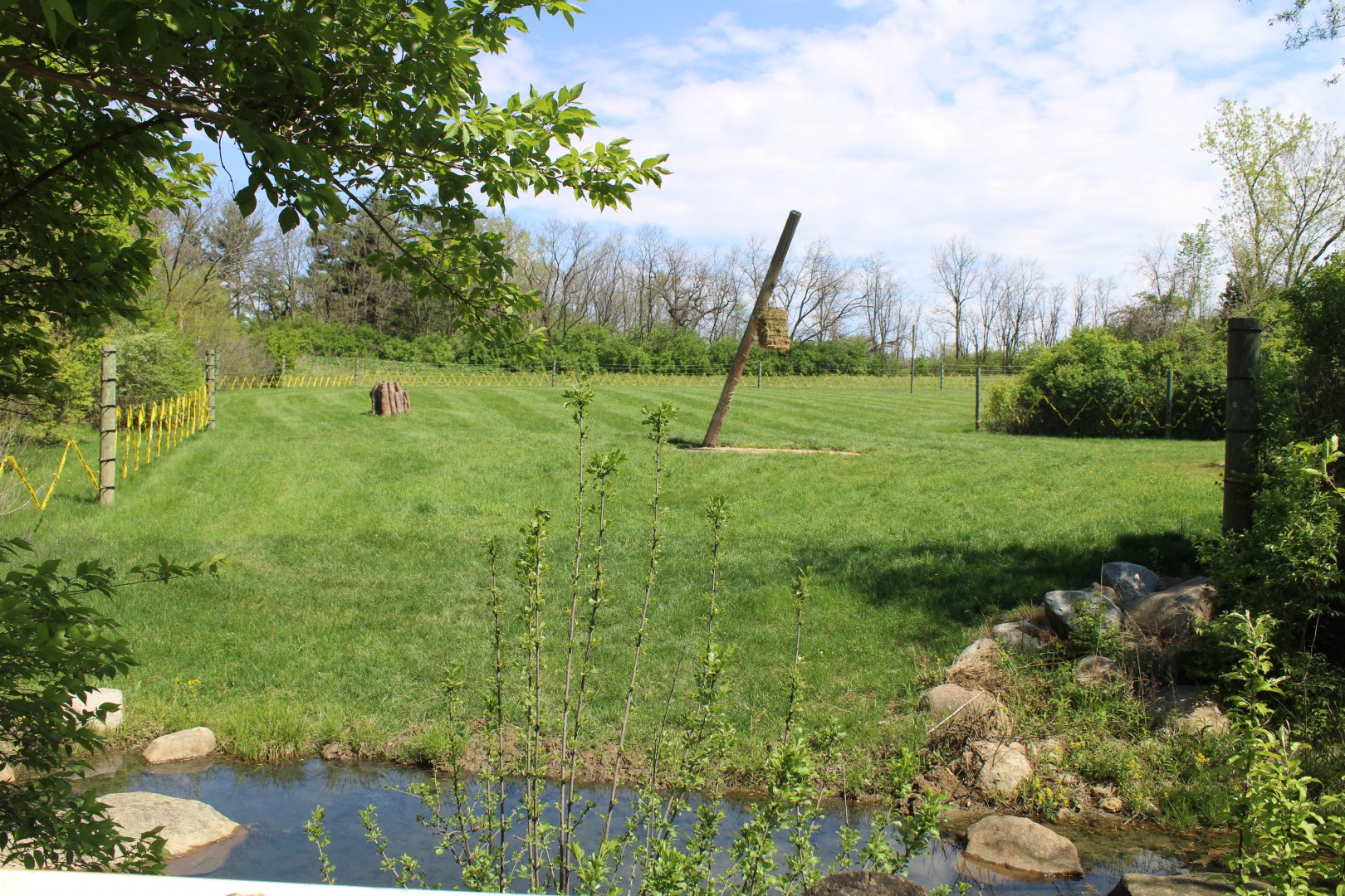 May. 2021 - African Journey - Reticulated Giraffe Exhibit (Left Side)