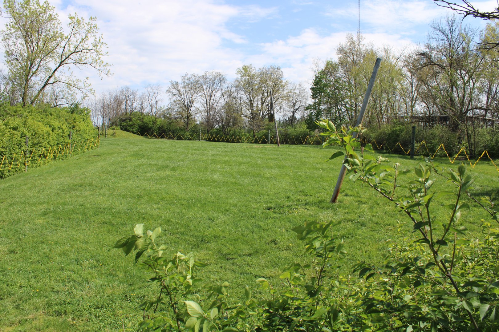 May. 2021 - African Journey - Reticulated Giraffe Exhibit (Right Side)