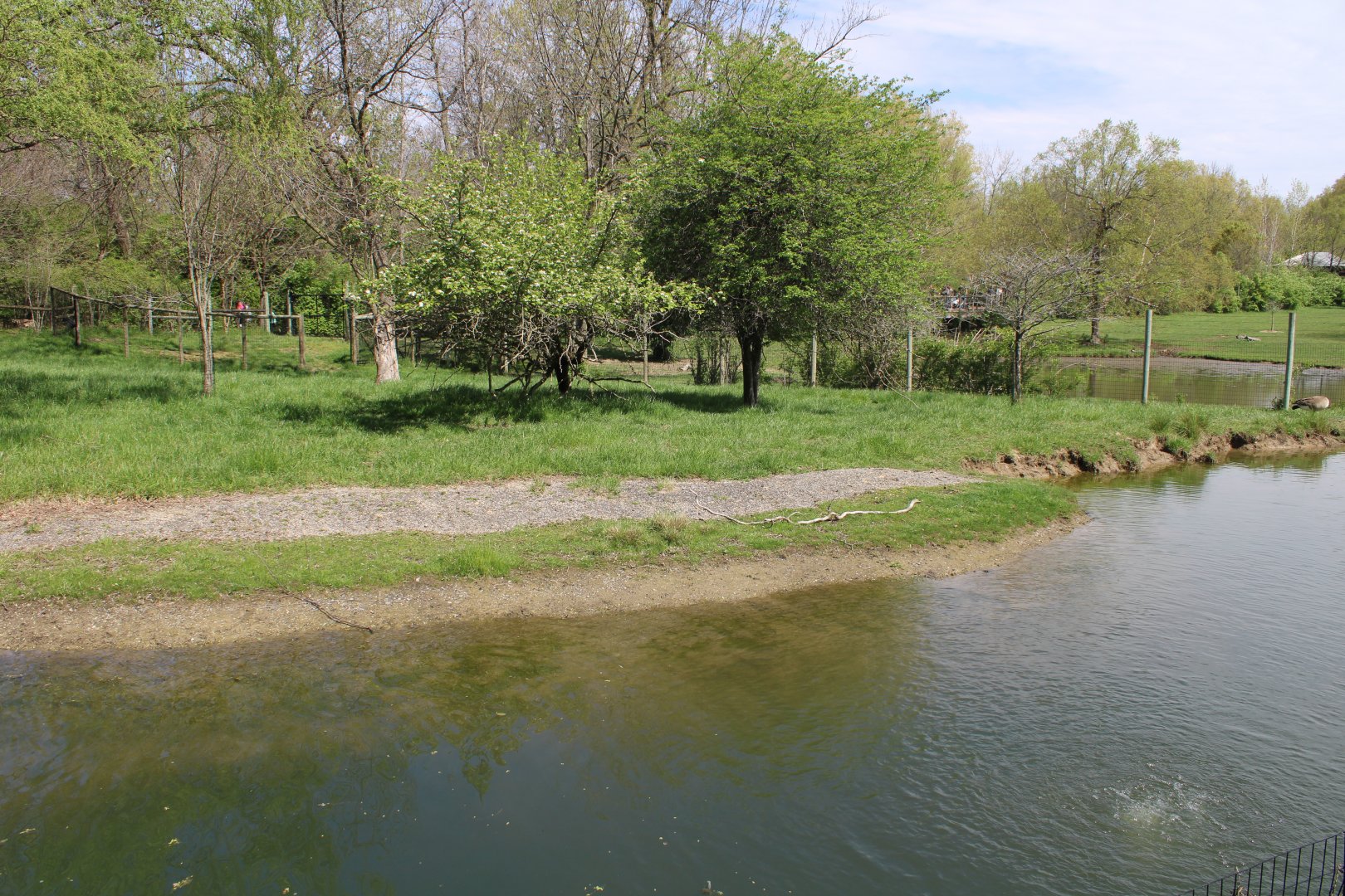 May. 2021 - African Journey - Sitatunga Exhibit