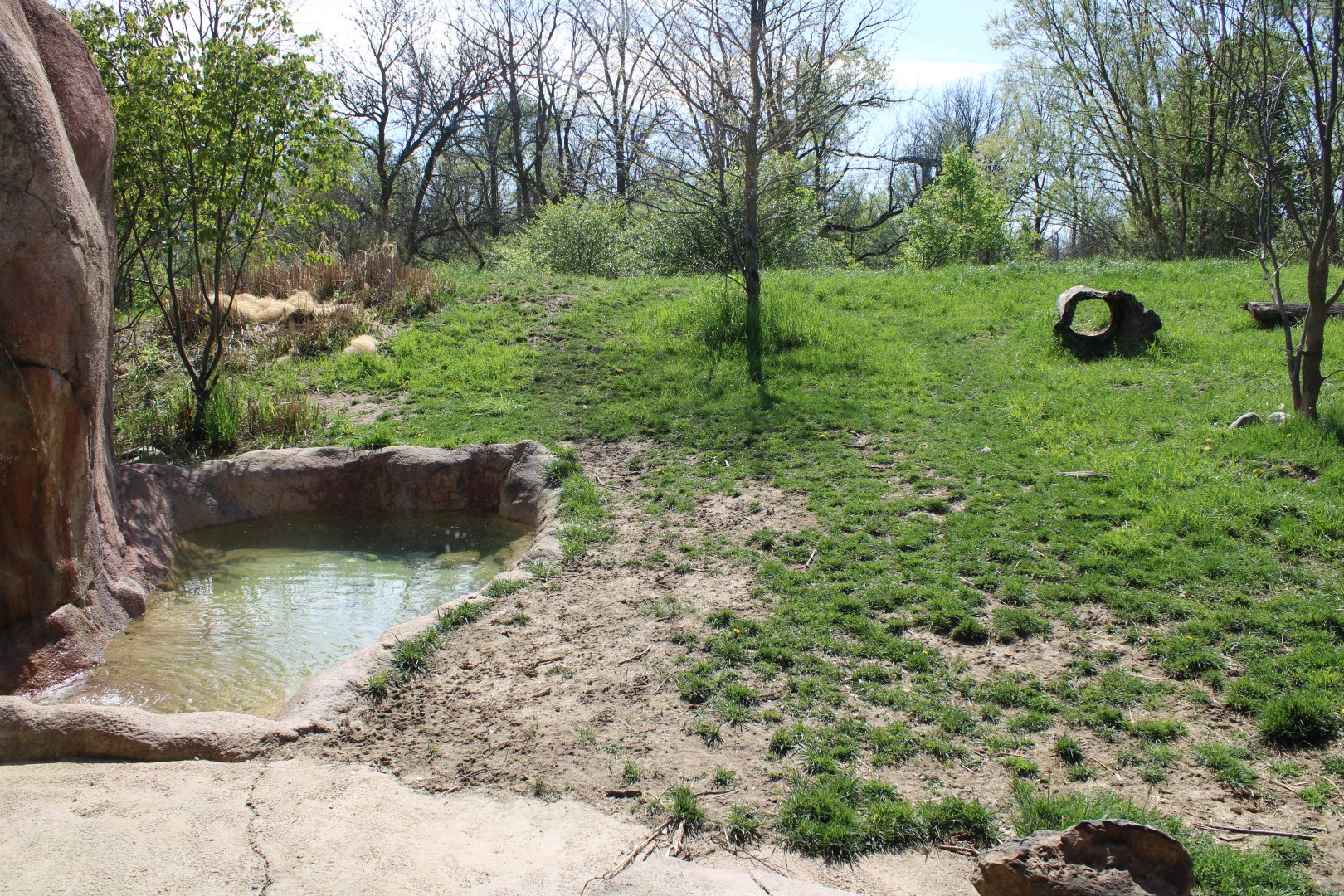 May. 2021 - African Journey - Spotted Hyena Exhibit