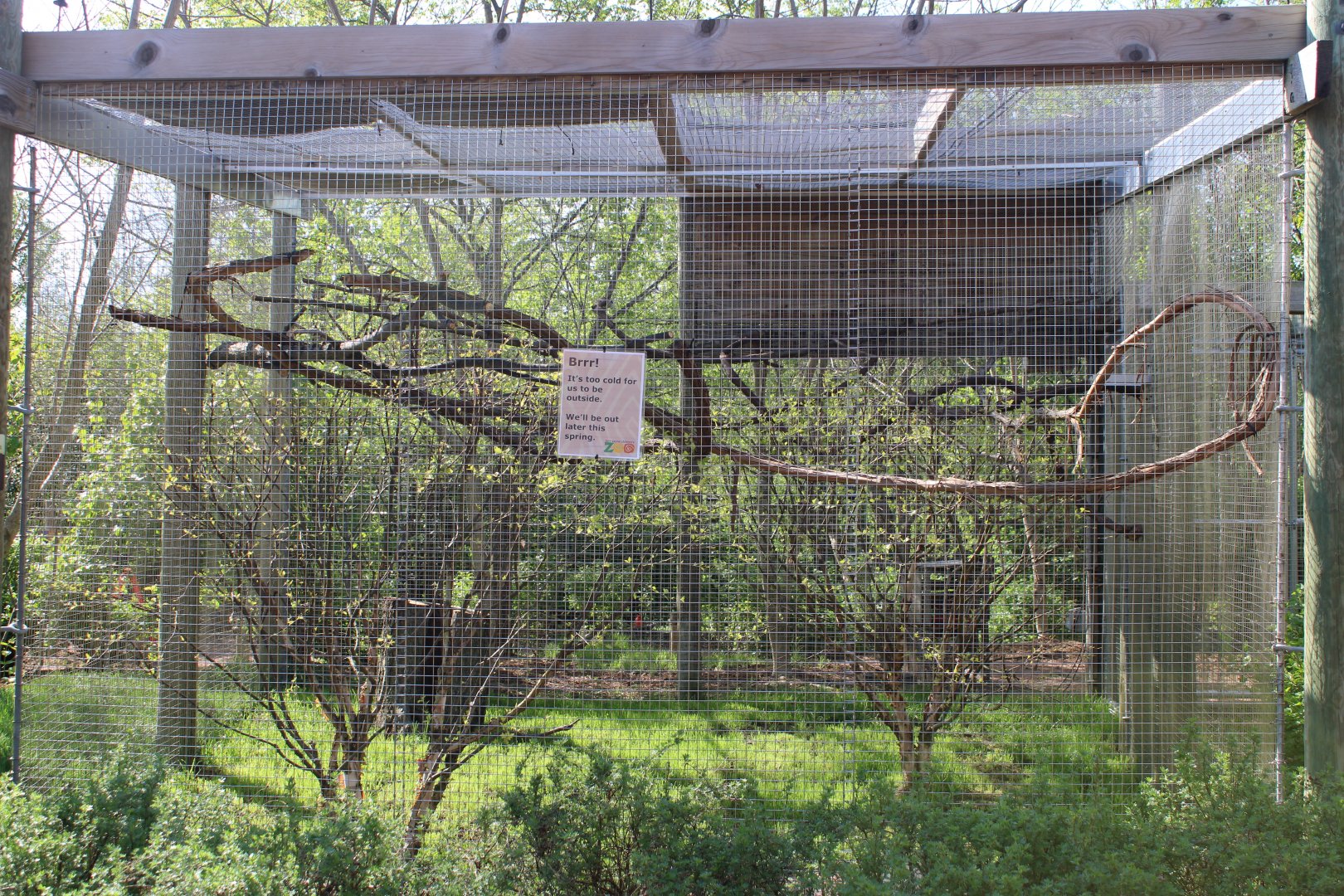 May. 2021 - Australian Adventure - Galah/Australian Magpie Exhibit