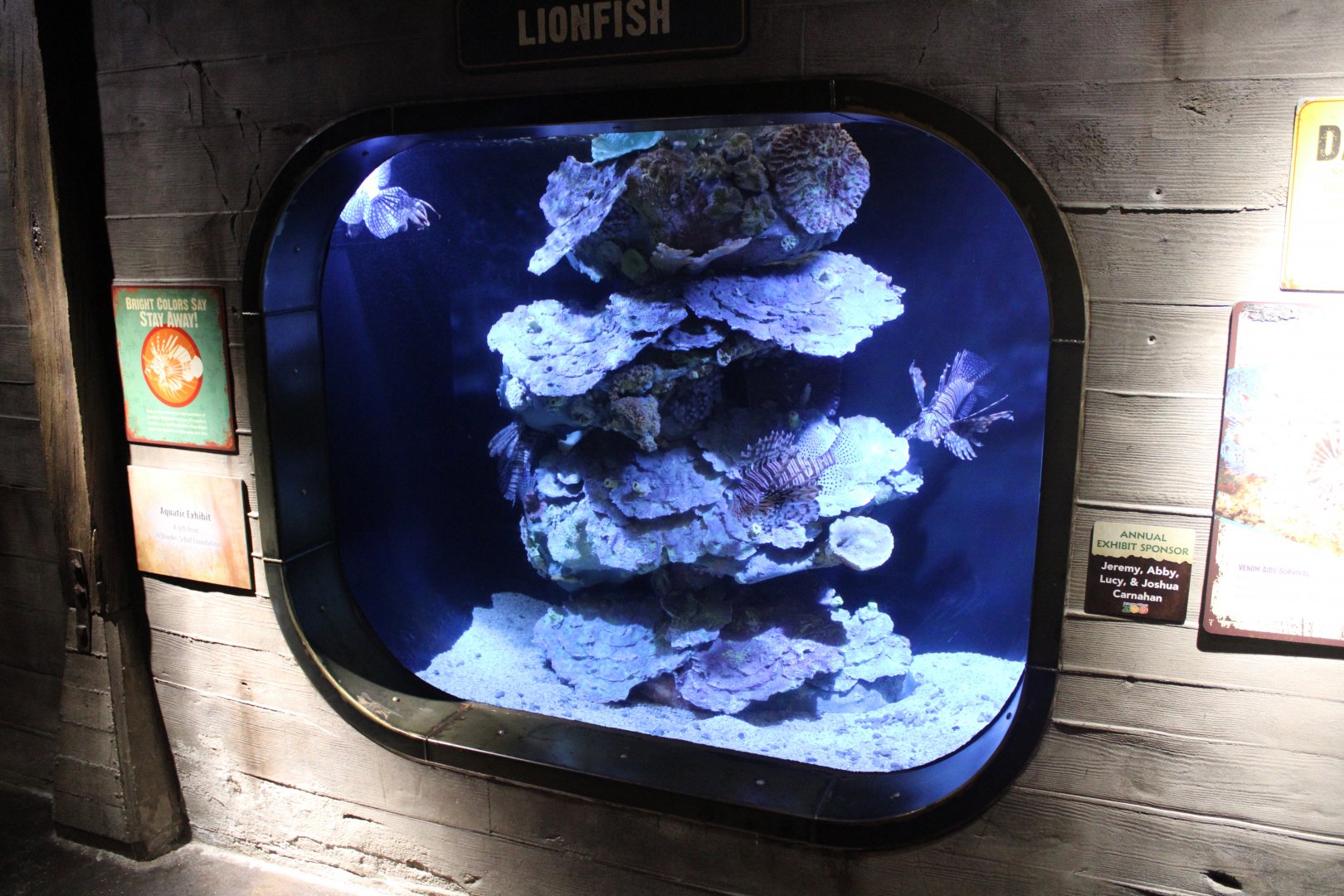 May. 2021 - Australian Adventure - Lionfish Tank
