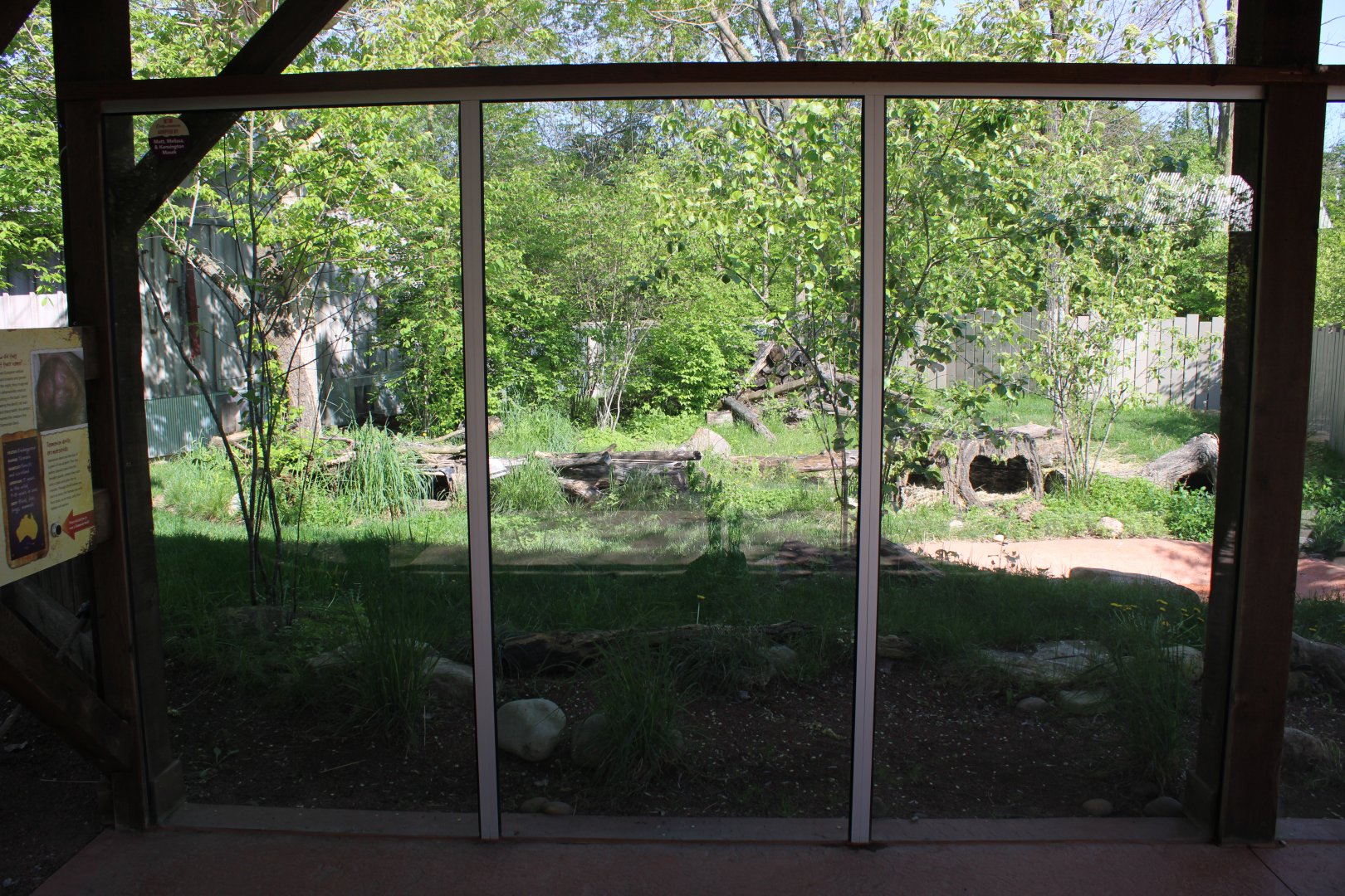 May. 2021 - Australian Adventure - Tasmanian Devil Exhibit